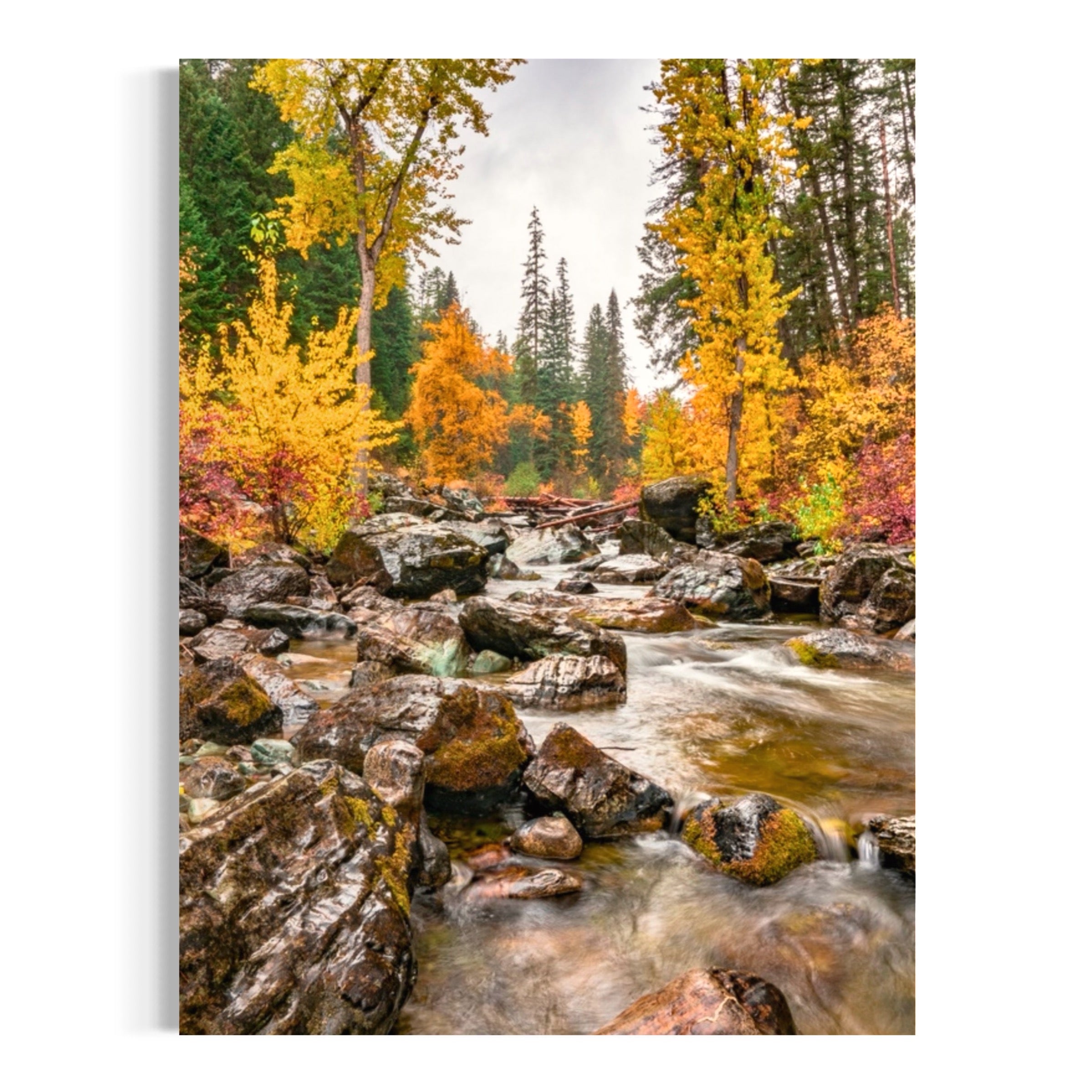 Colorful Creekside - Moderno Wall Art Wall Art