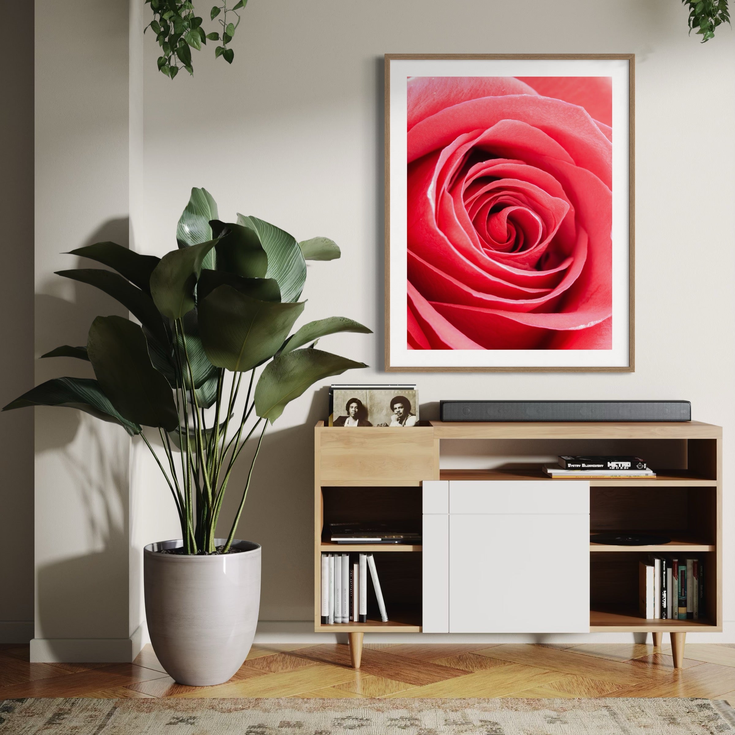 Pink Spiral - Moderno Wall Art Wall Art