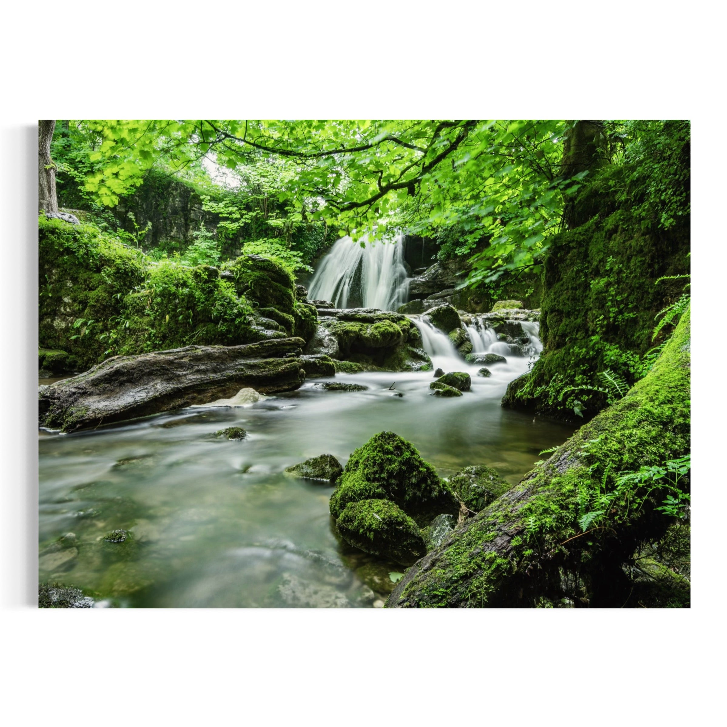 Tranquil Falls - Moderno Wall Art Wall Art