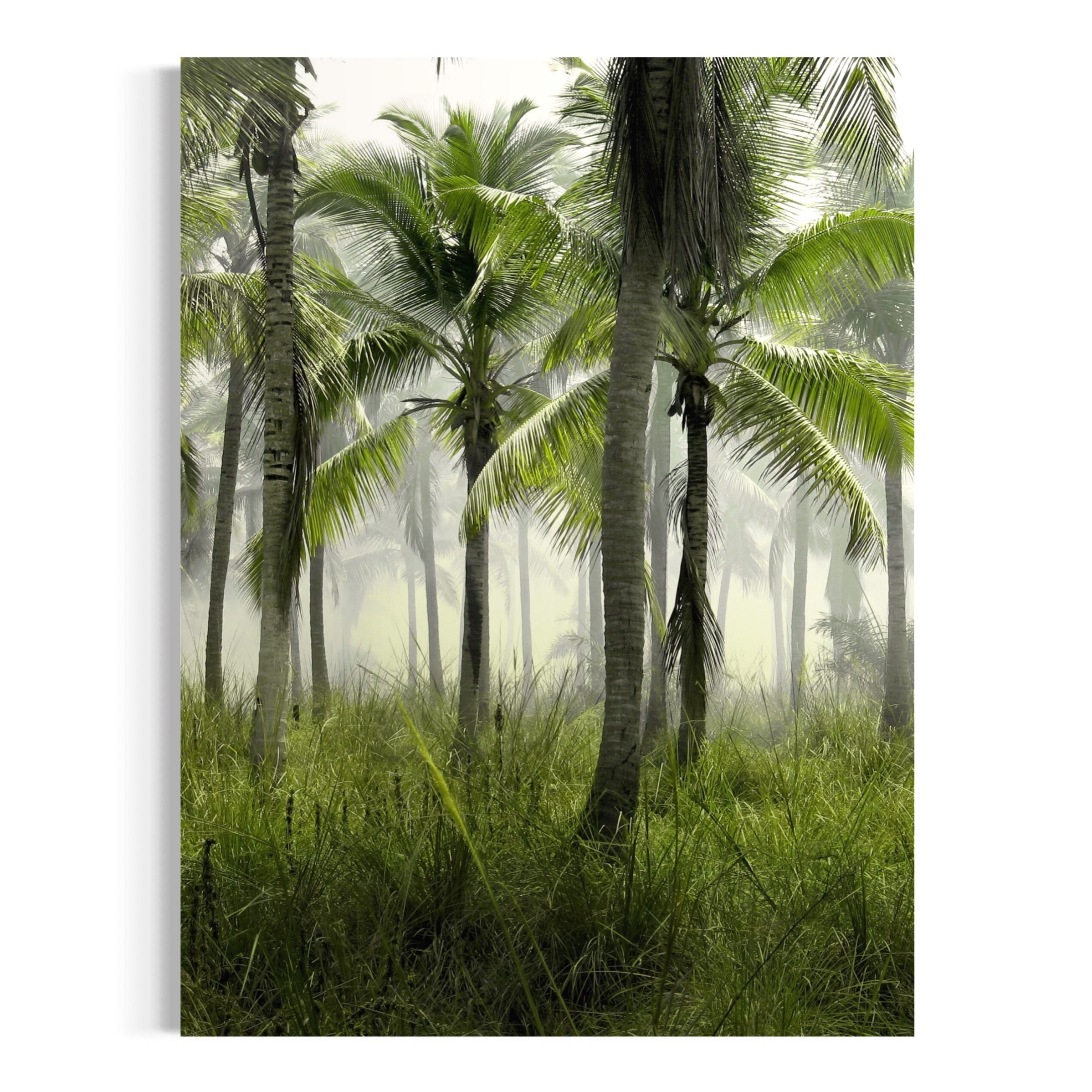 Tropical Morning Mist - Moderno Wall Art Wall Art