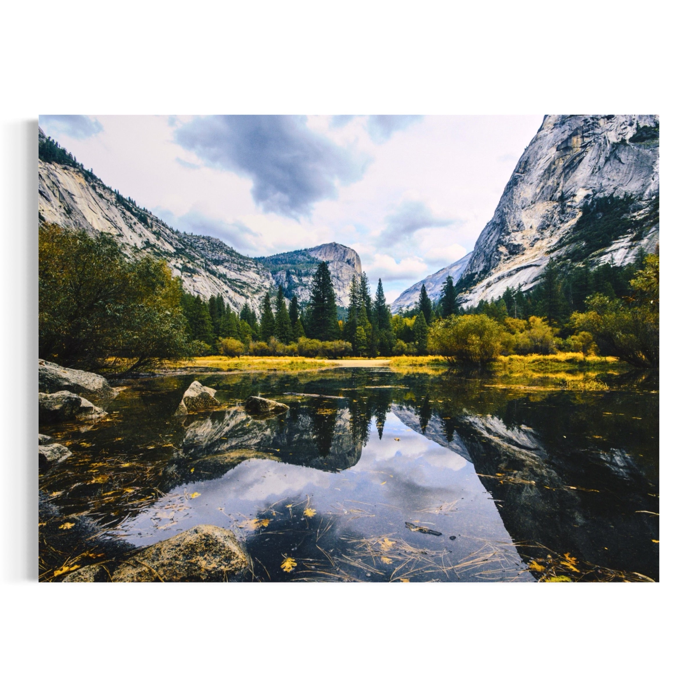 Nature's Reflection - Moderno Wall Art Wall Art