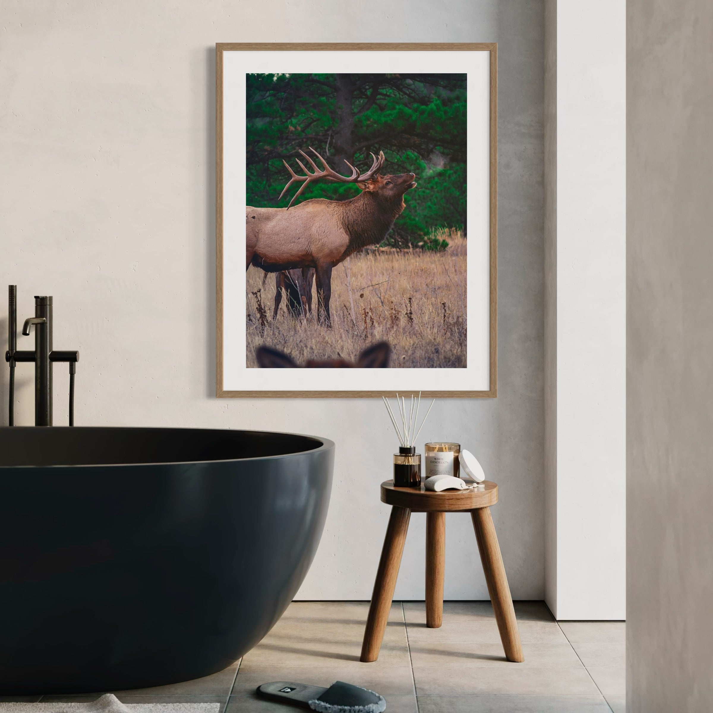 Echoes of the Bull Elk - Moderno Wall Art Wall Art