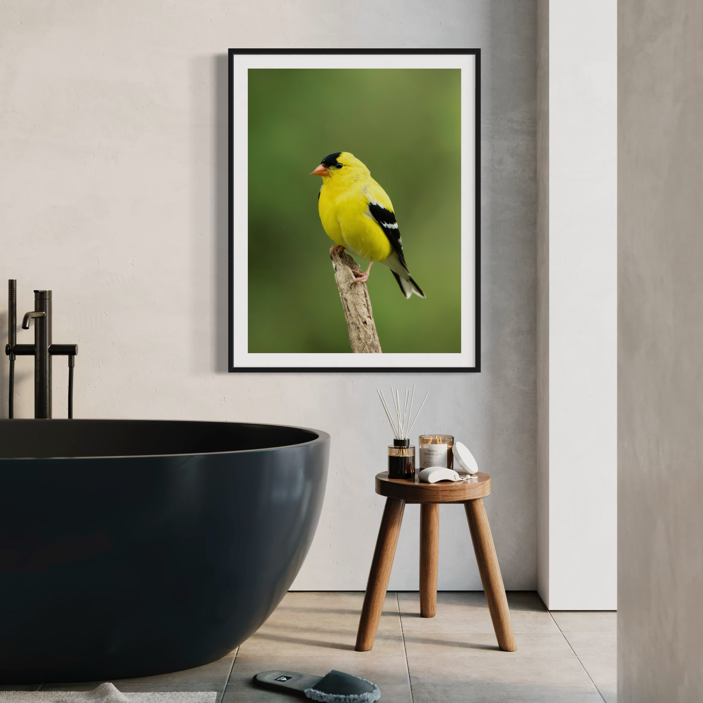 Summertime Goldfinch - Moderno Wall Art Wall Art