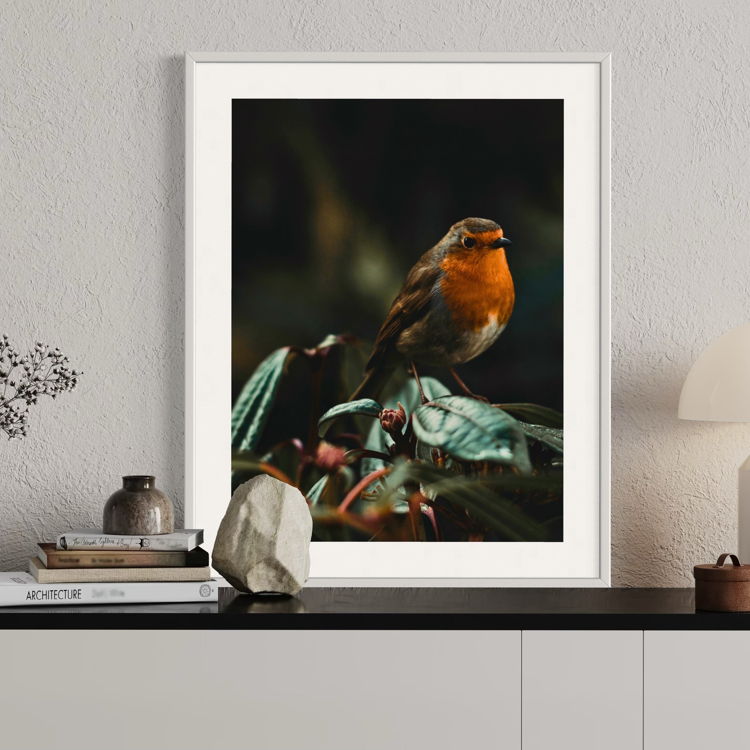European Robin - Moderno Wall Art Wall Art