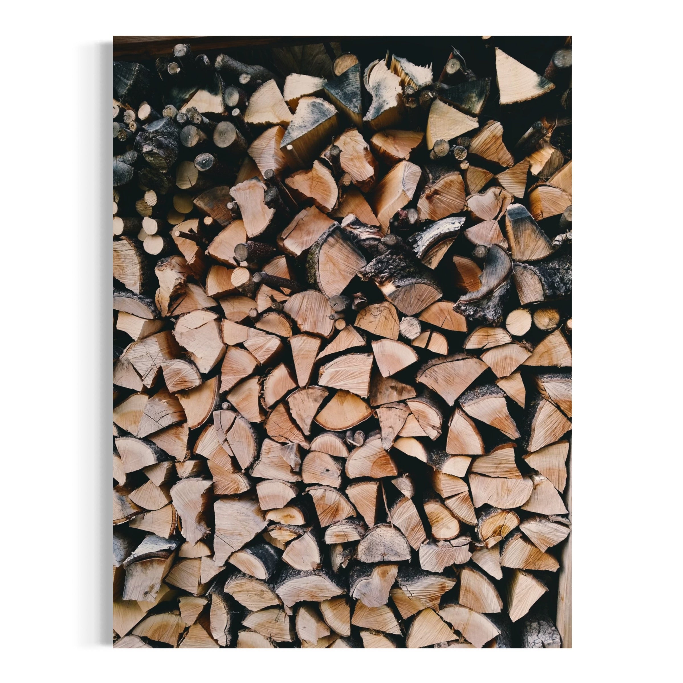 Autumn Woodpile - Moderno Wall Art Wall Art