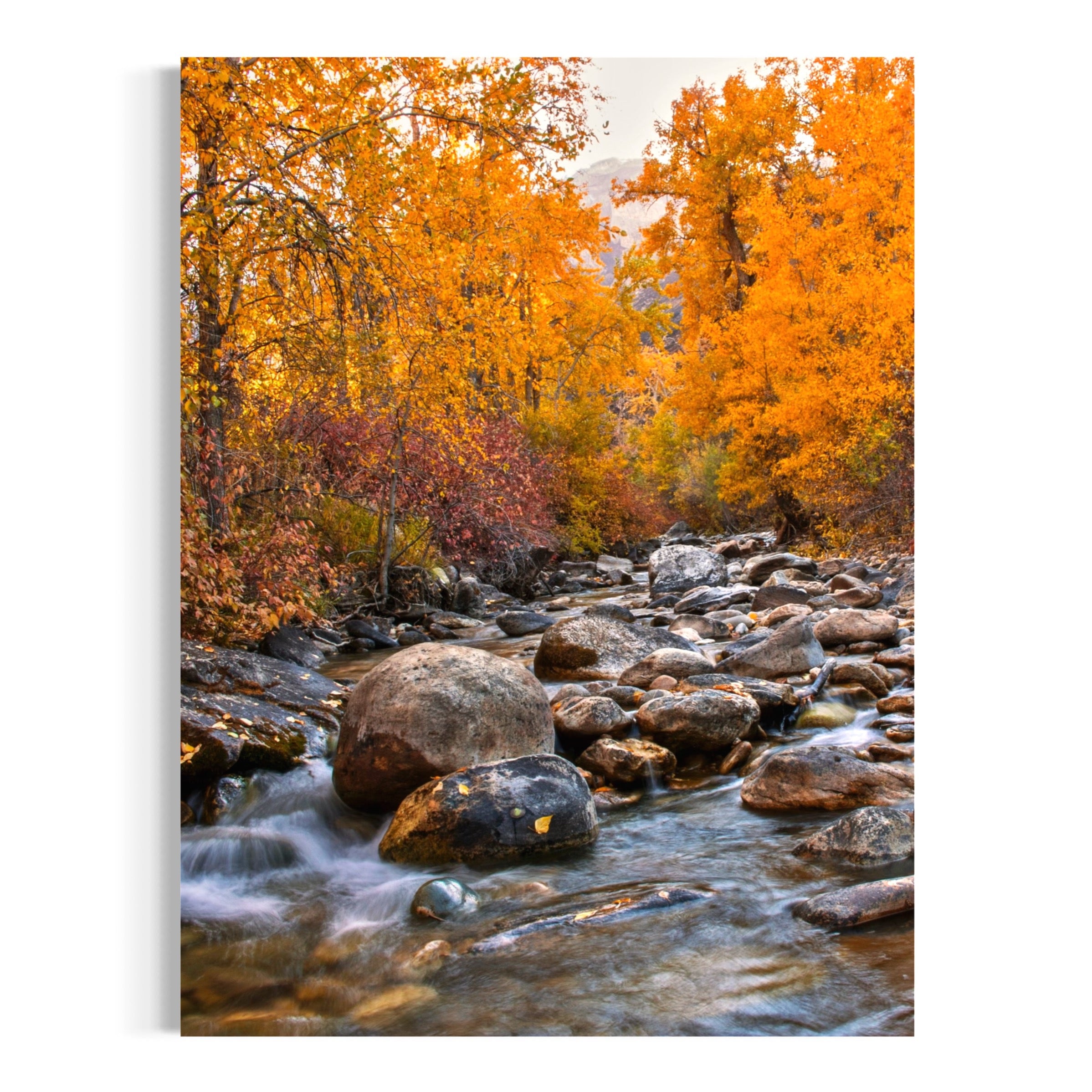 Crisp Waters, Golden Leaves - Moderno Wall Art Wall Art