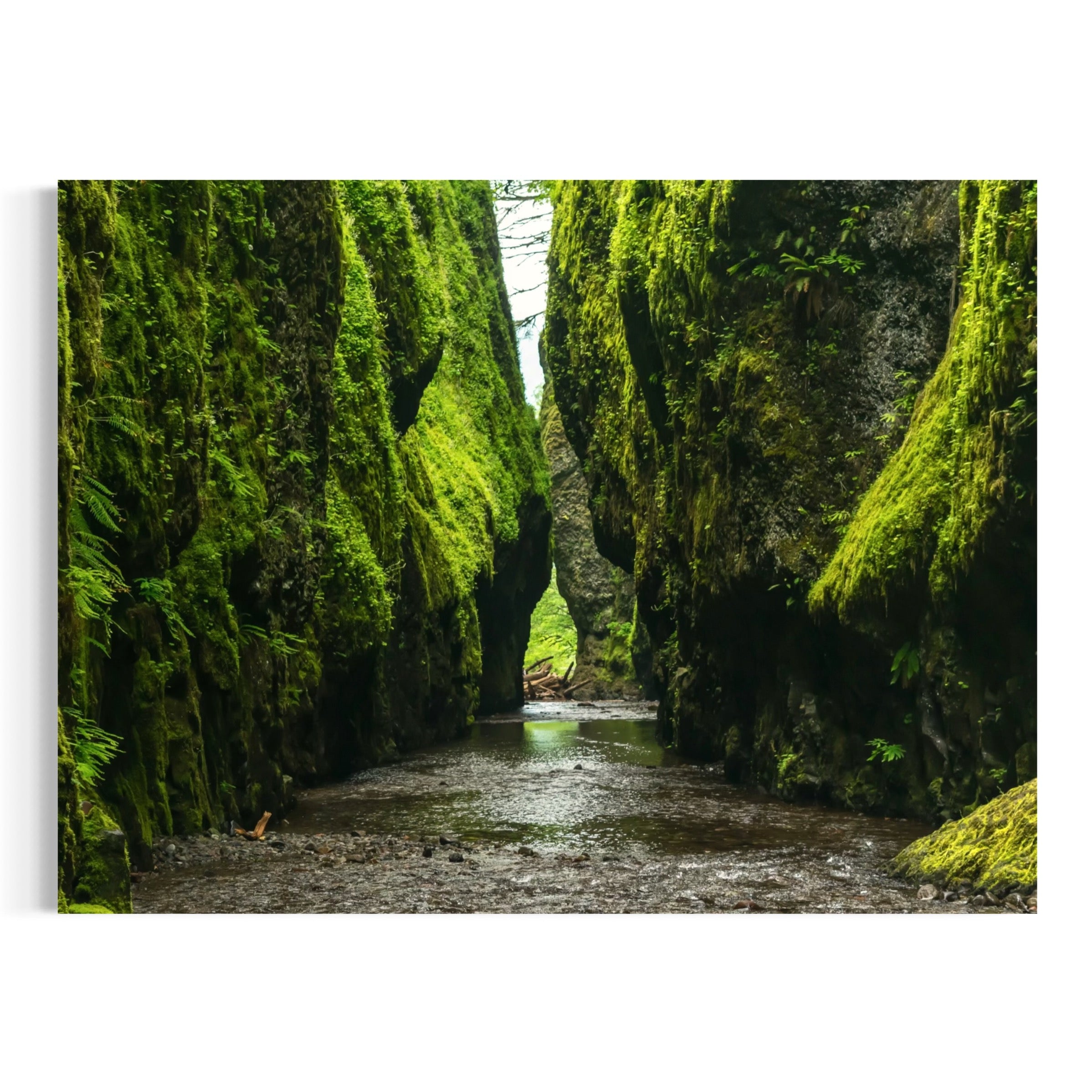 Emerald Gorge - Moderno Wall Art Wall Art