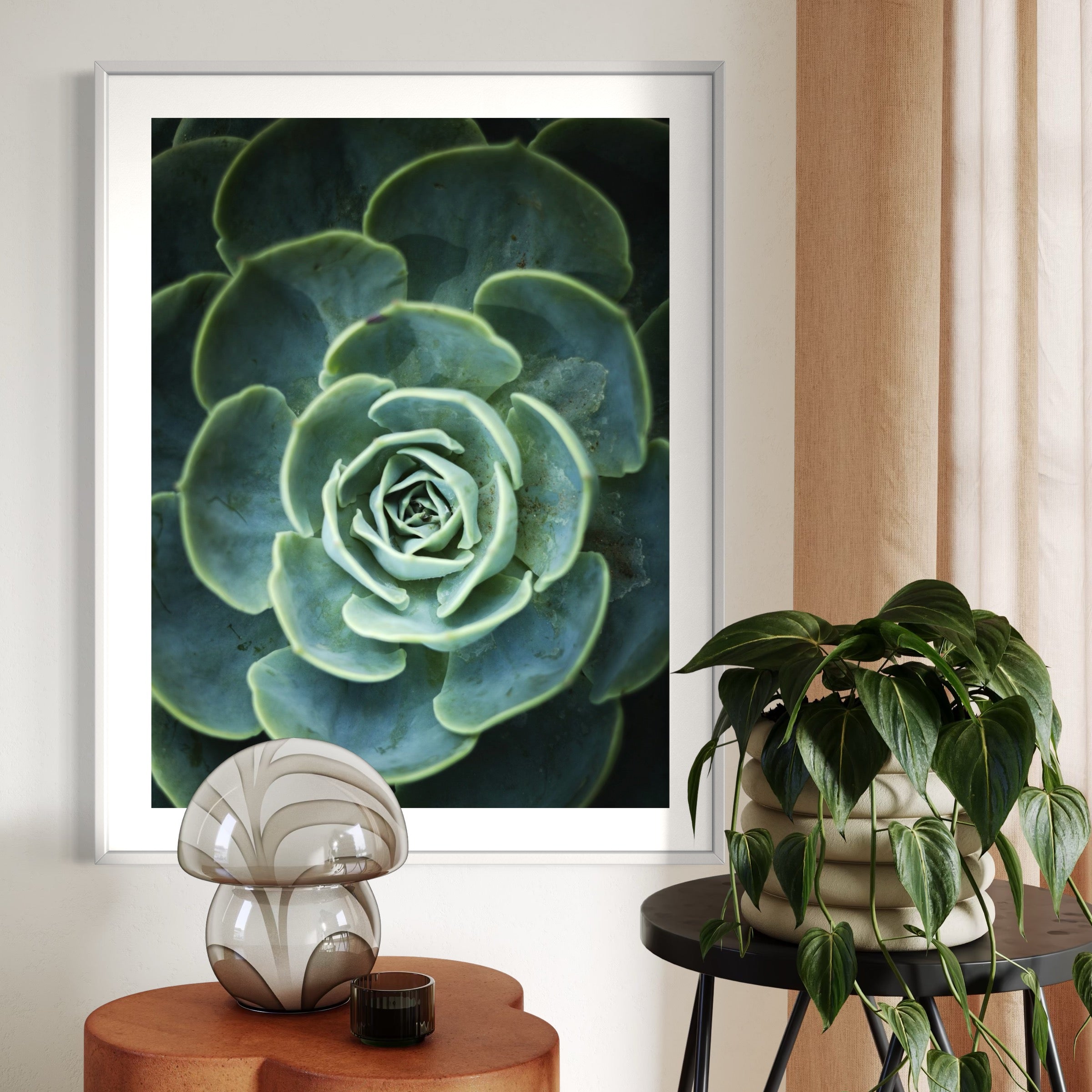 Green Succulent - Moderno Wall Art Wall Art