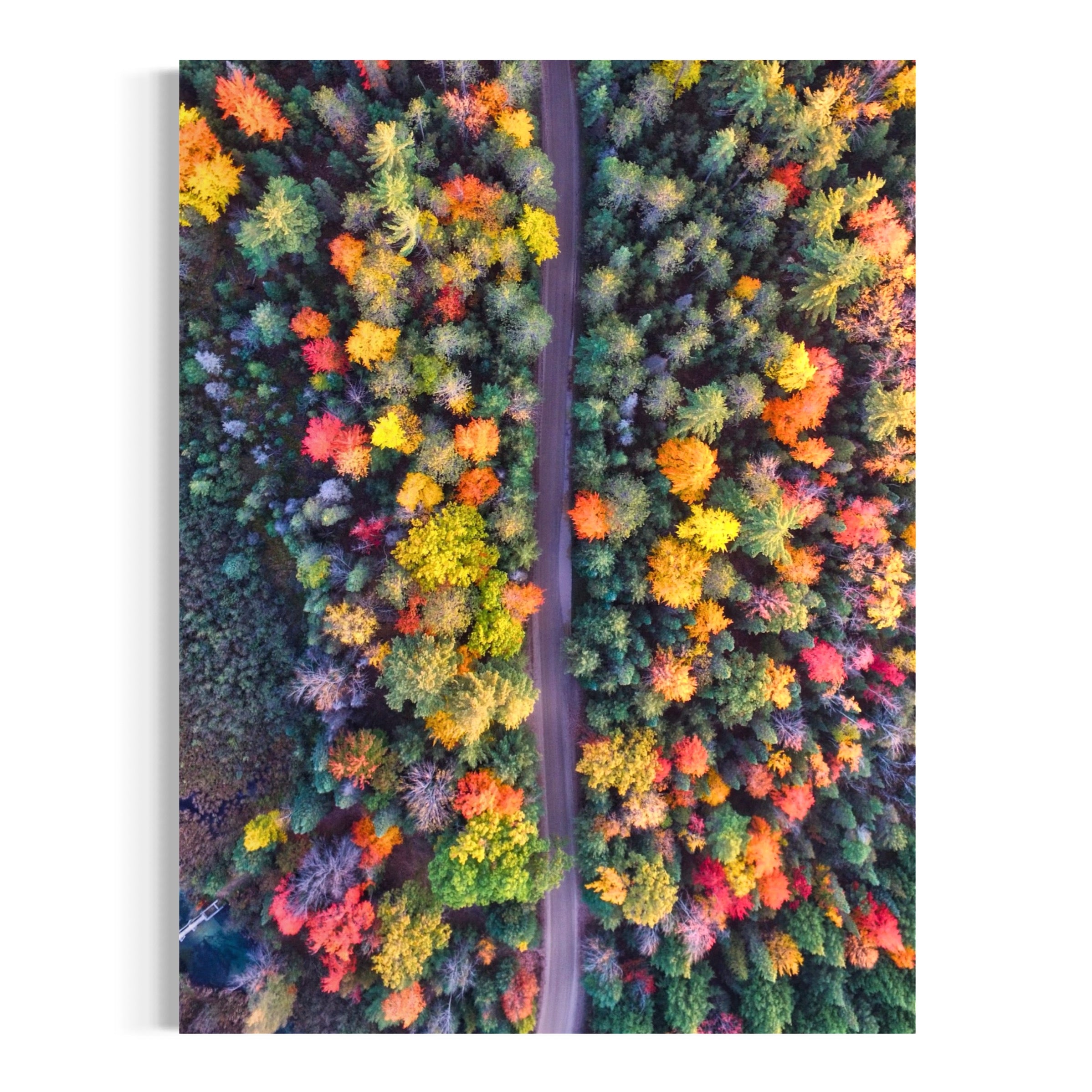 Michigan's Colorful Canopy - Moderno Wall Art Wall Art