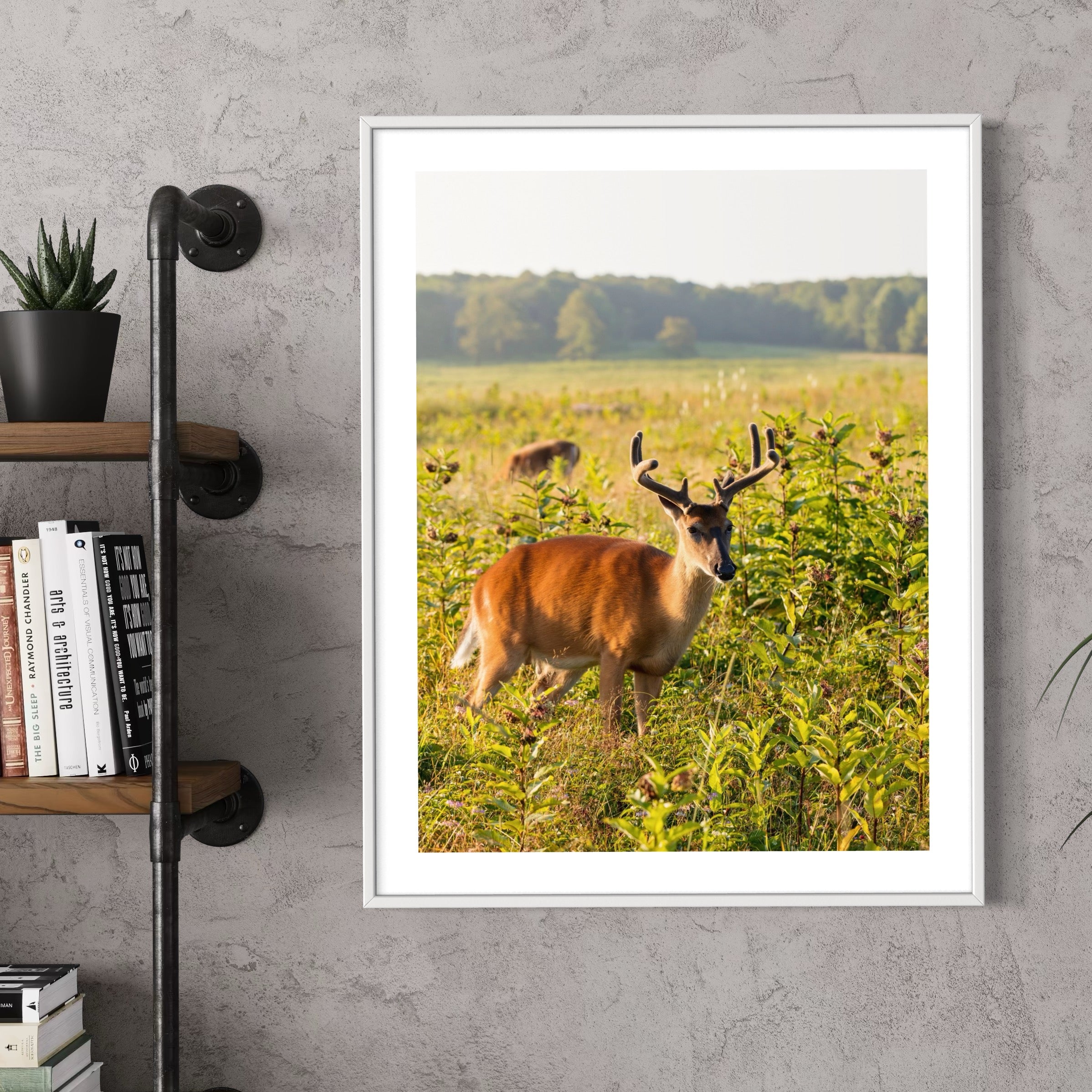 Grazing at Golden Hour - Moderno Wall Art Wall Art