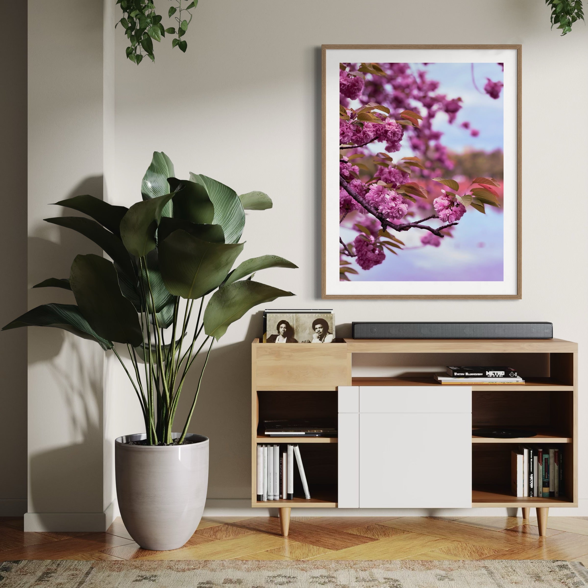 Kanzan Cherry Blossoms - Moderno Wall Art Wall Art