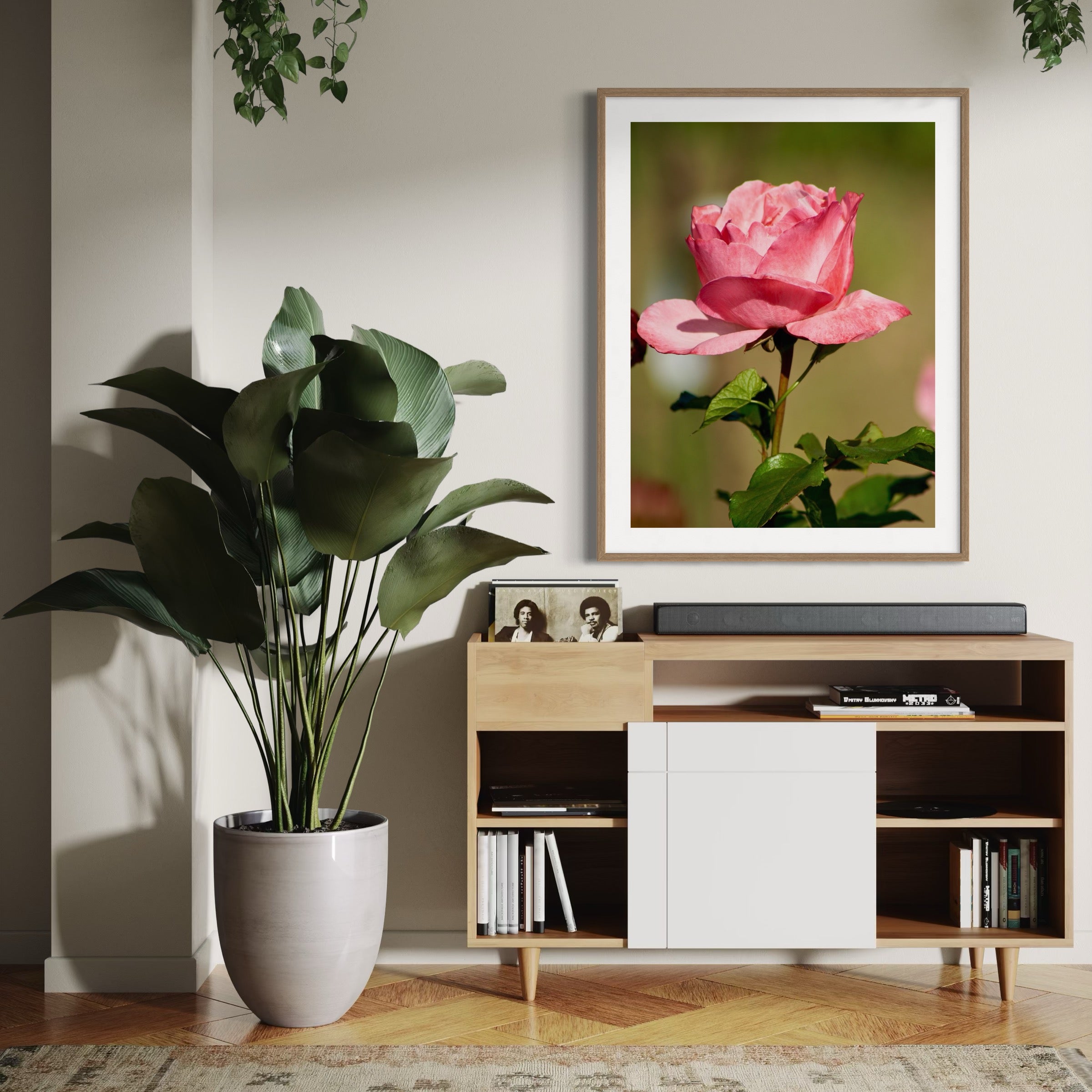 Sunlit Rose - Moderno Wall Art Wall Art