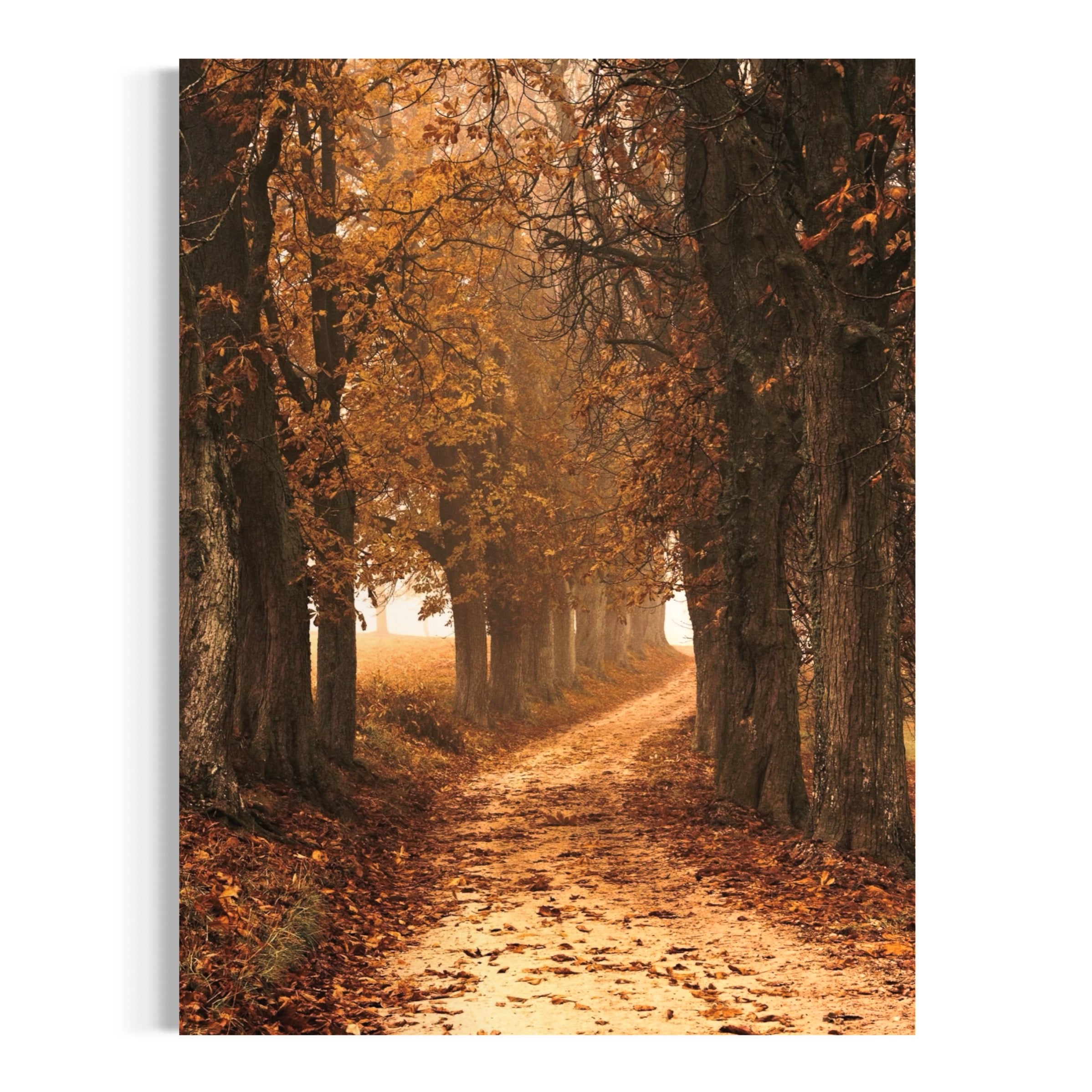 Autumn Walk - Moderno Wall Art Wall Art
