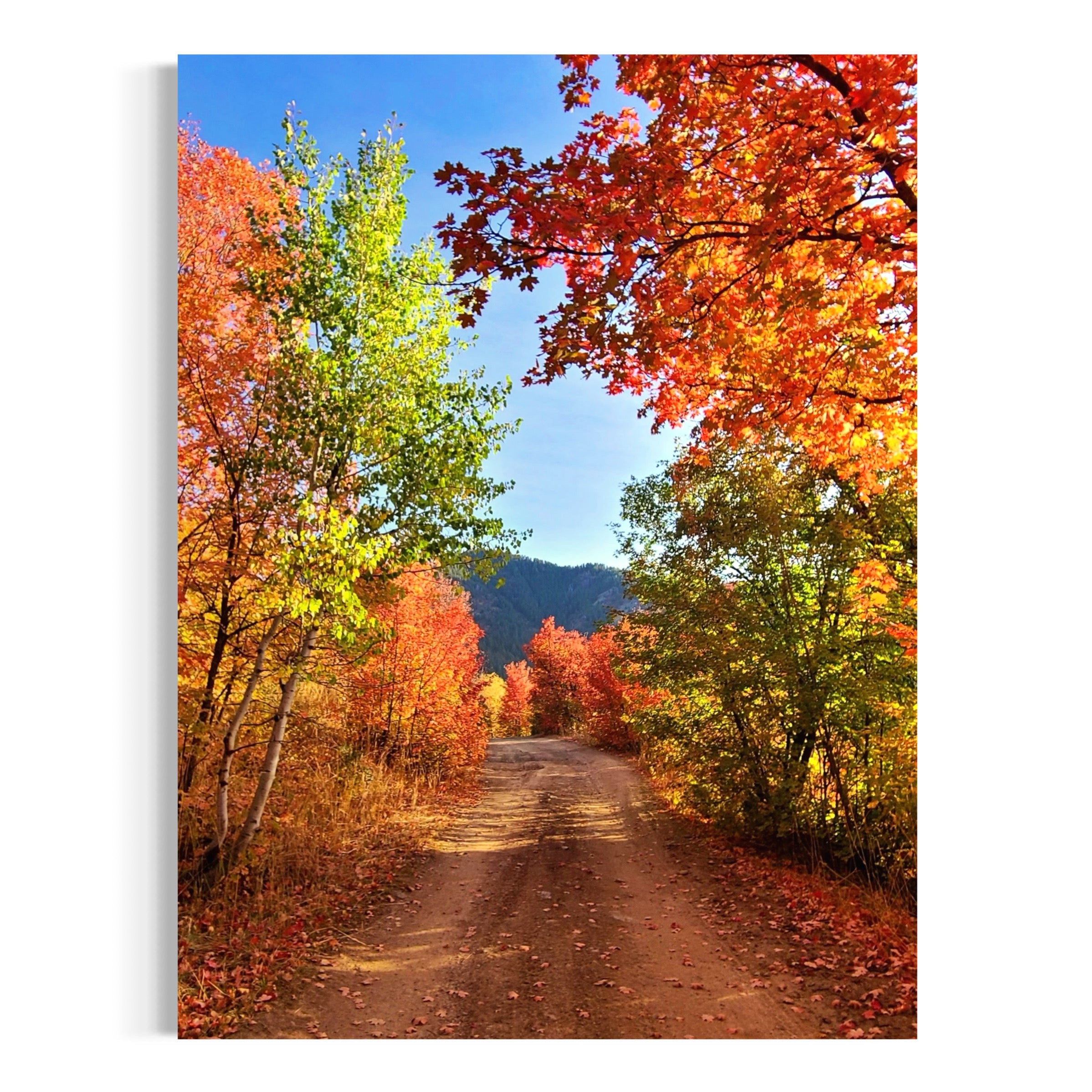 Beautiful Fall Day - Moderno Wall Art Wall Art