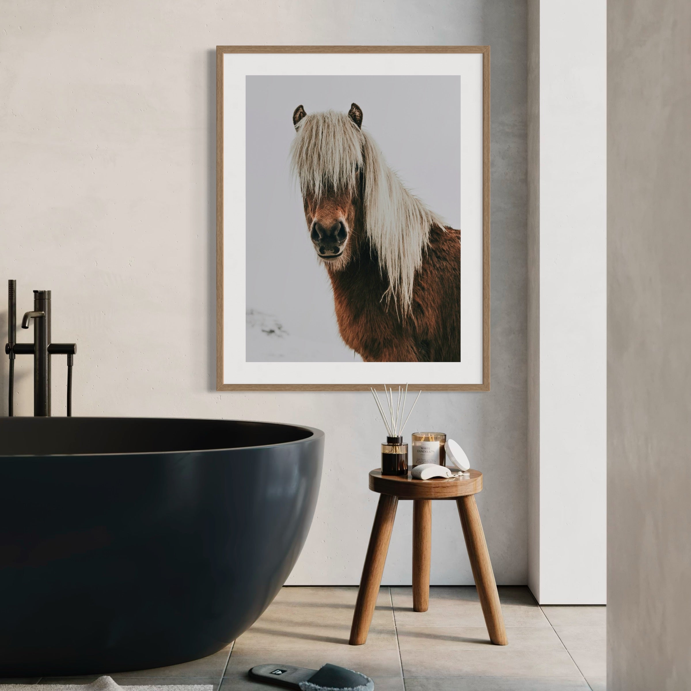 Icelandic Horse - Moderno Wall Art Wall Art