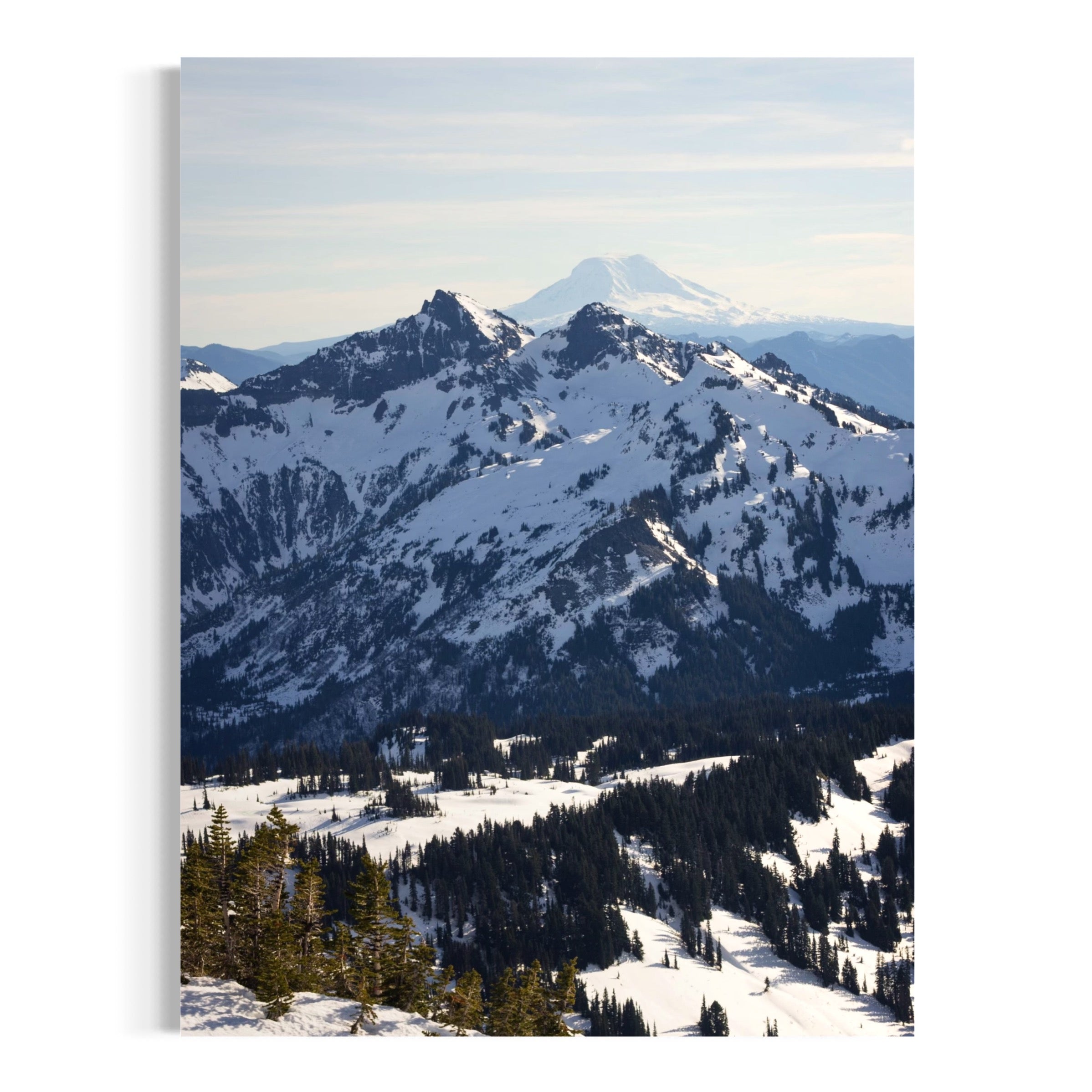 Evergreen Haven Below Snowy Peaks - Moderno Wall Art Wall Art