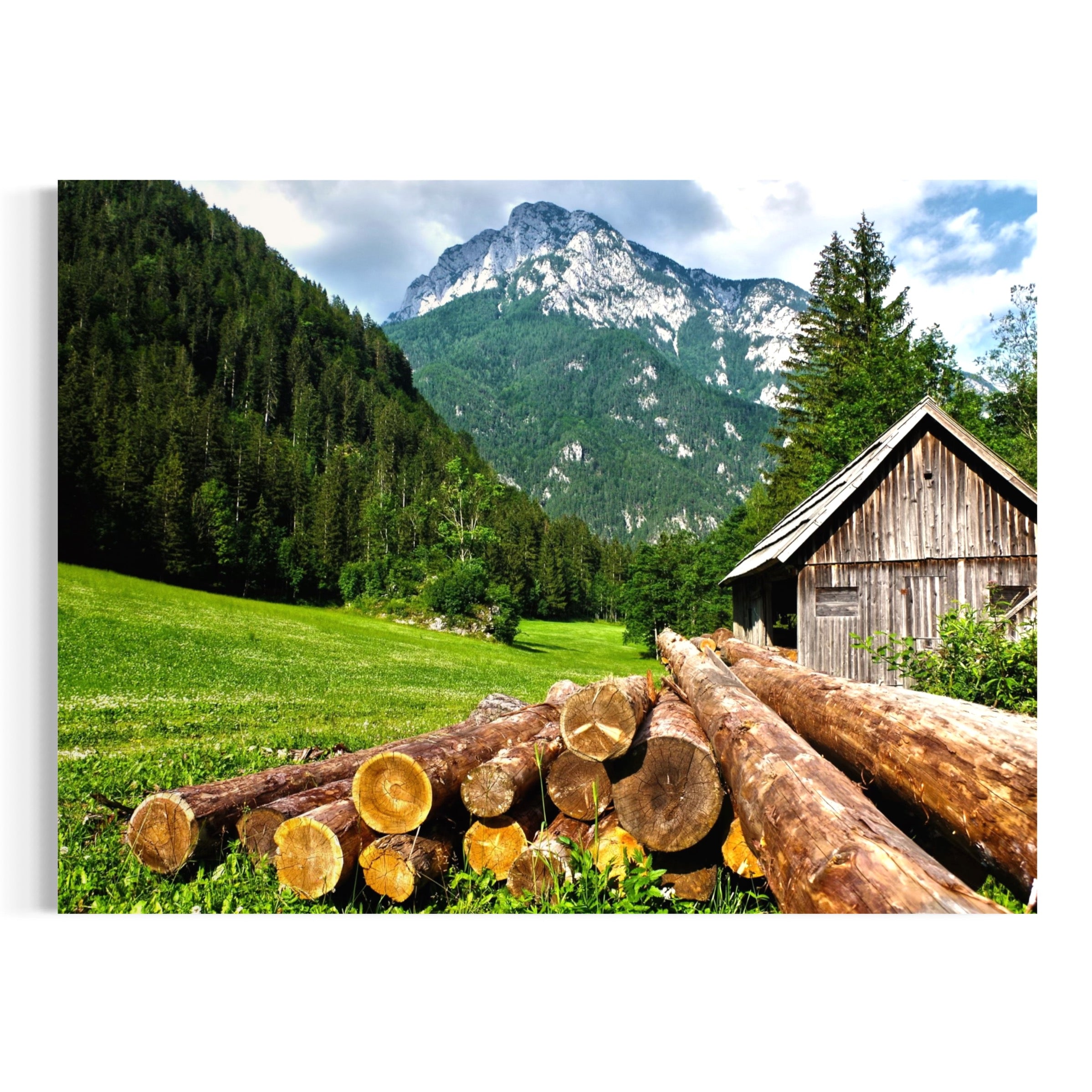 Alpine Meadow Life - Moderno Wall Art Wall Art