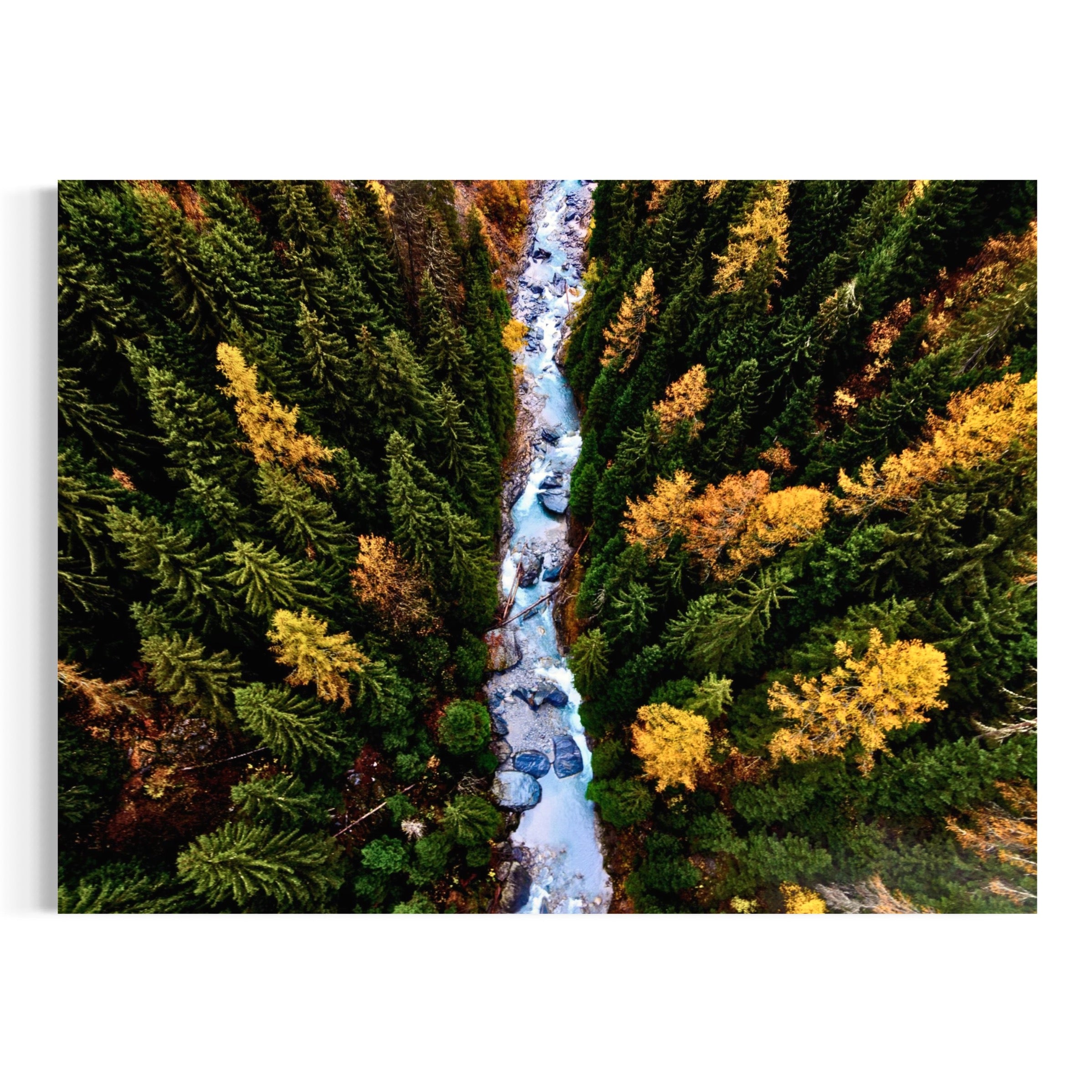 Fall Colors and Creek Waters - Moderno Wall Art Wall Art