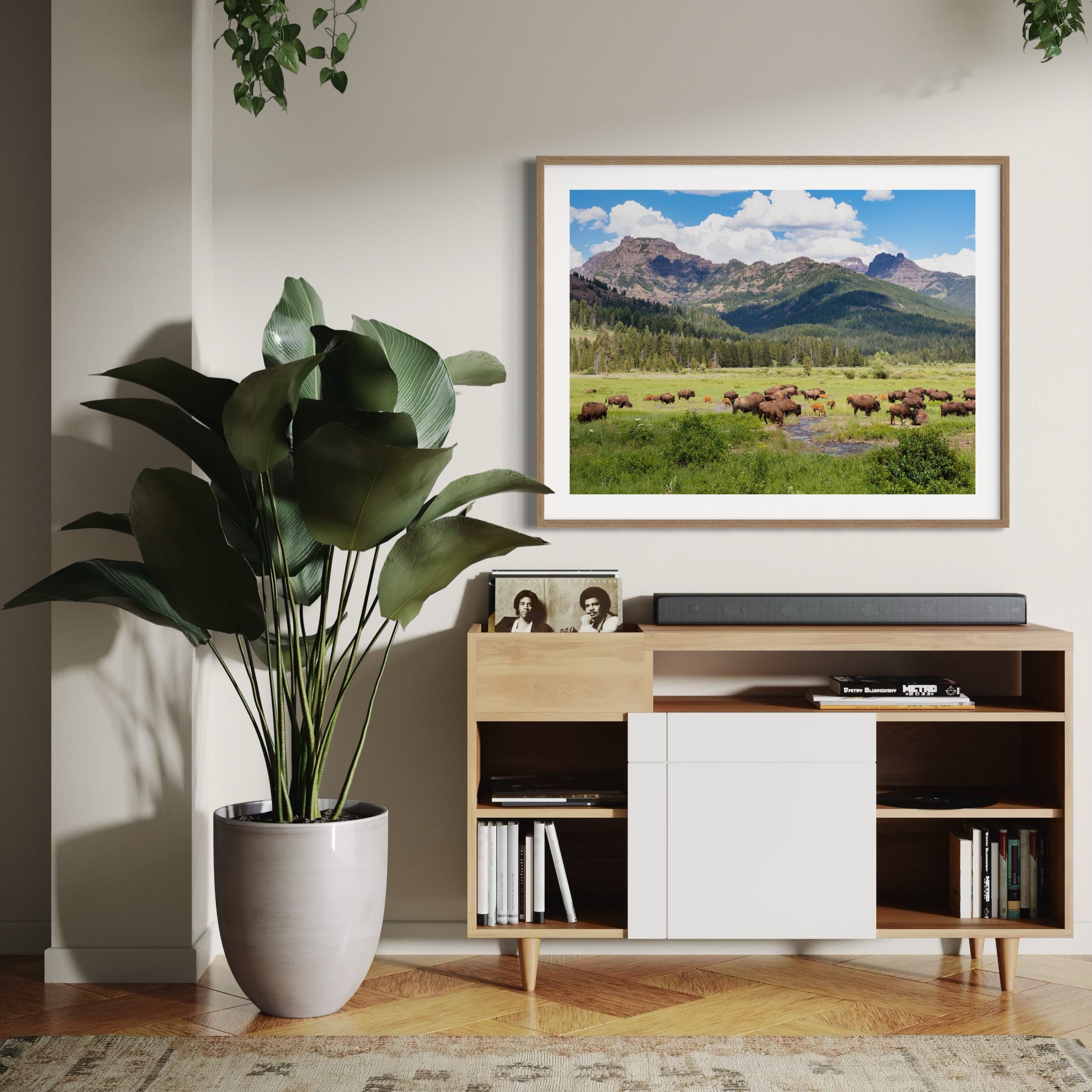 Bison Grazing in Yellowstone - Moderno Wall Art Wall Art