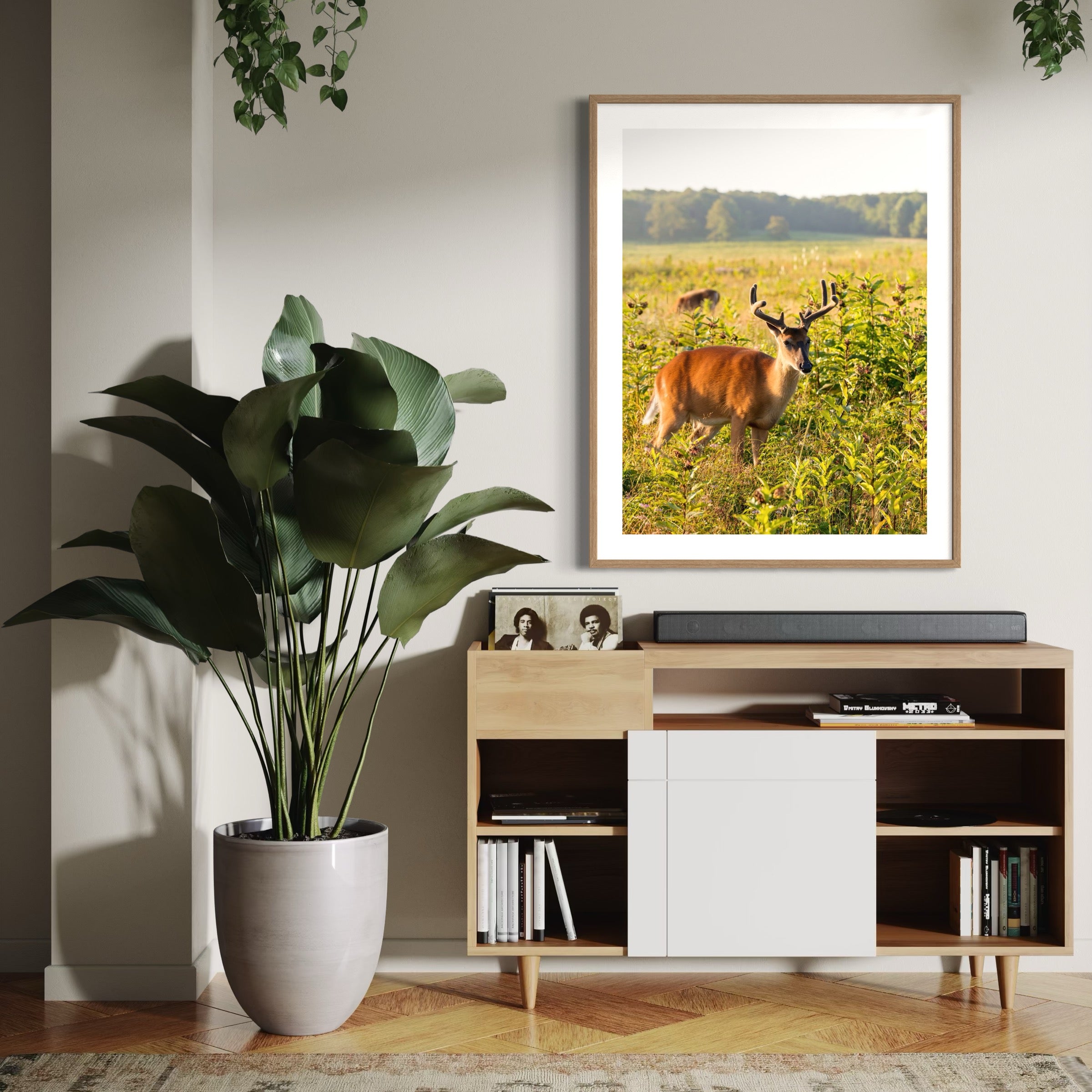 Grazing at Golden Hour - Moderno Wall Art Wall Art
