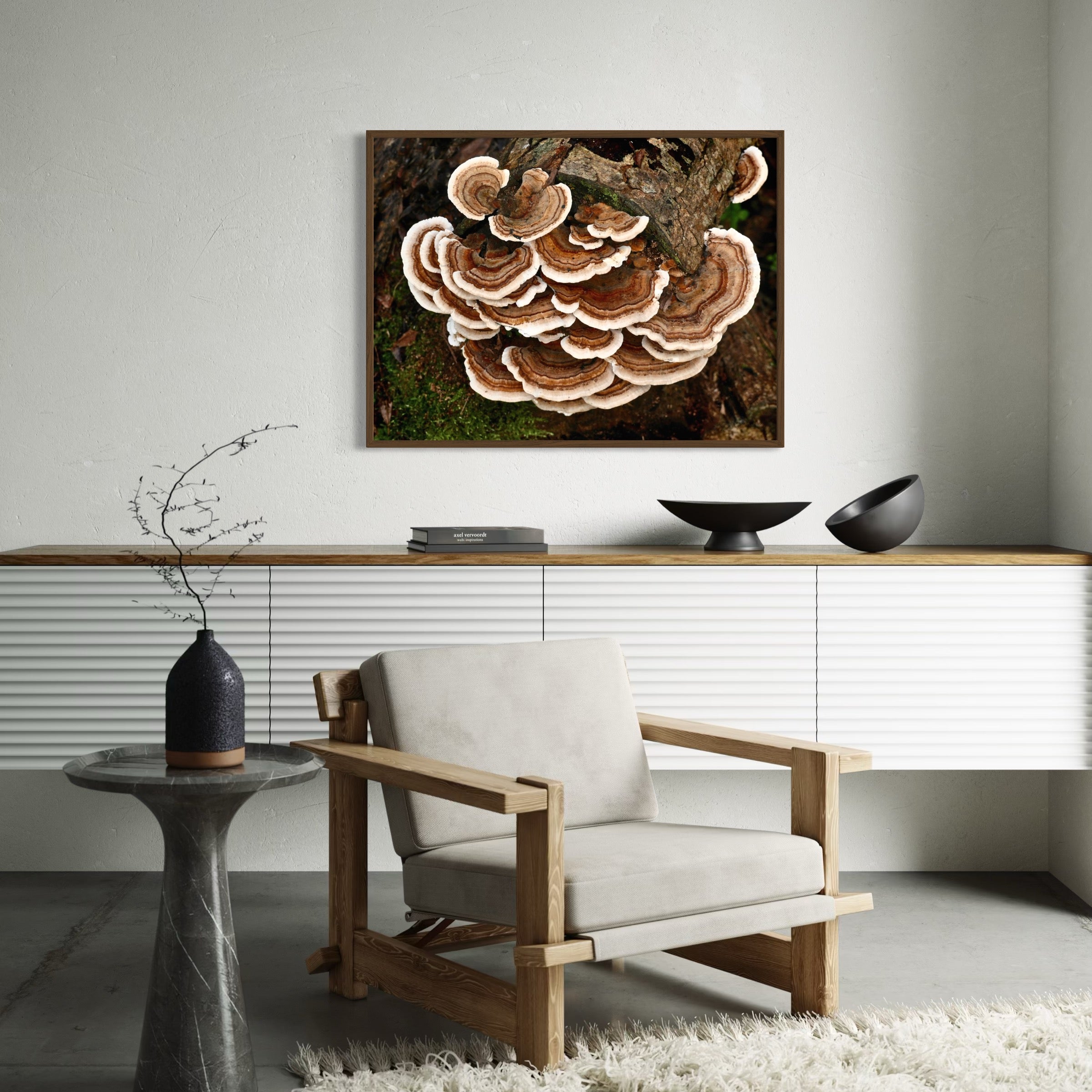 Turkey Tail Fungus - Moderno Wall Art Wall Art