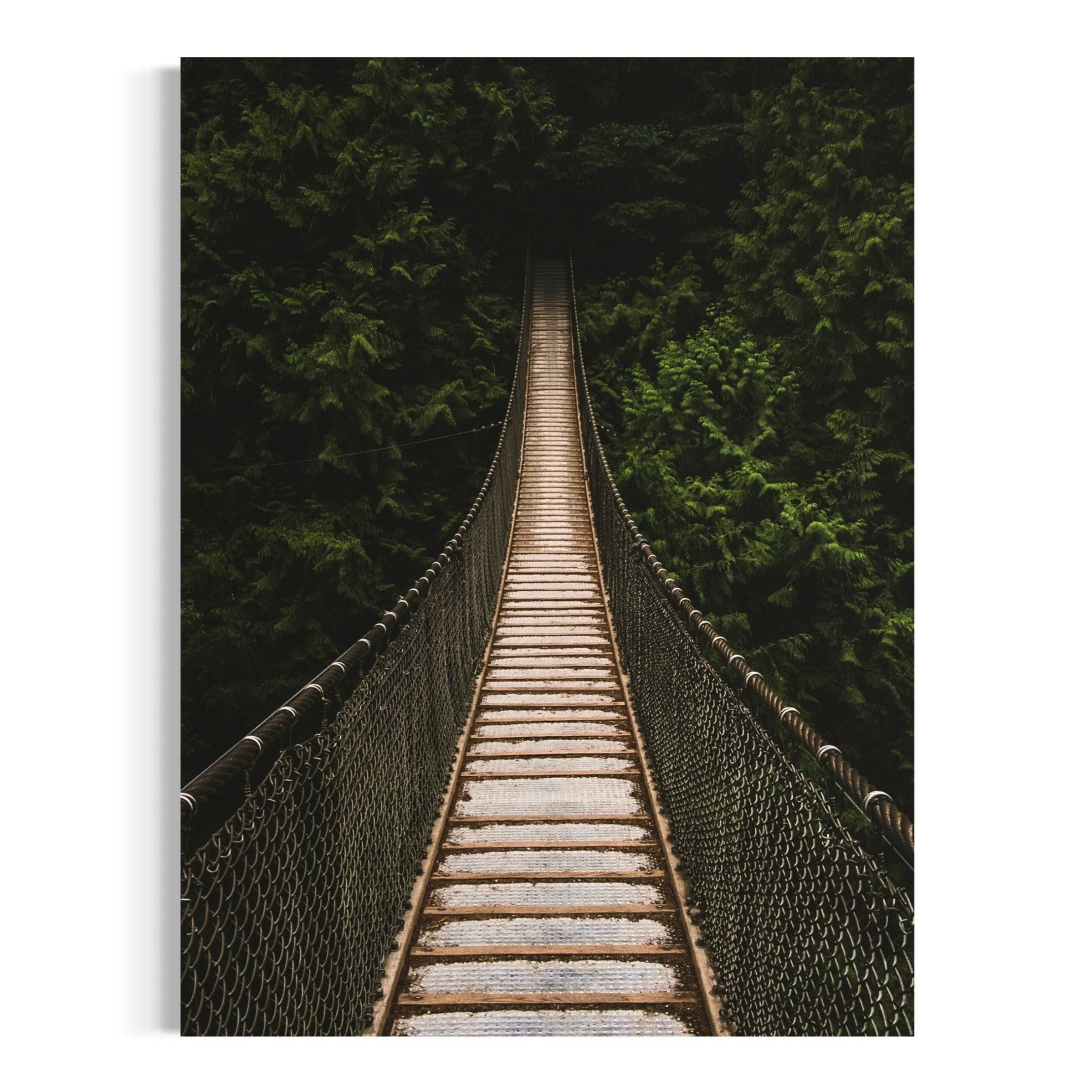 Into the Jungle - Moderno Wall Art Wall Art