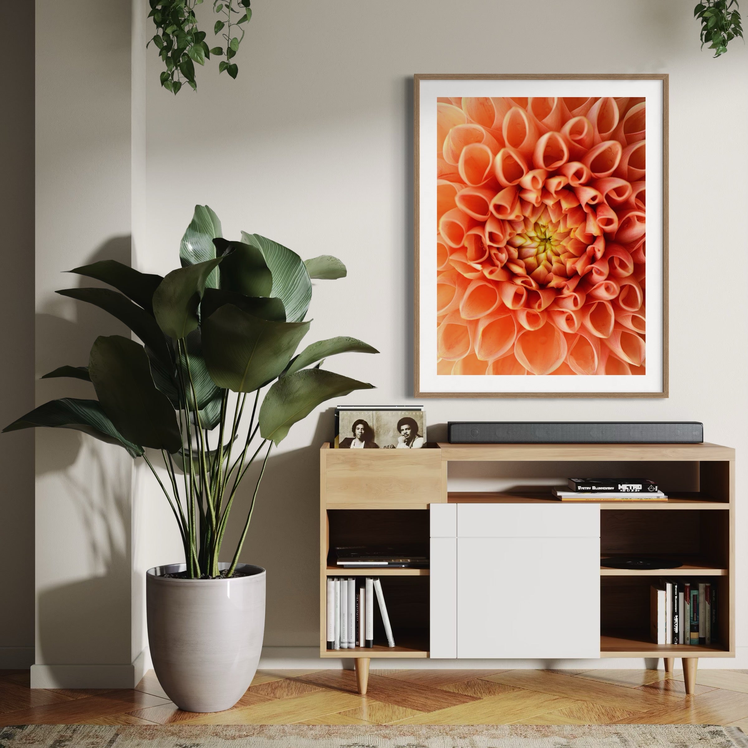Dahlia Dreams - Moderno Wall Art Wall Art