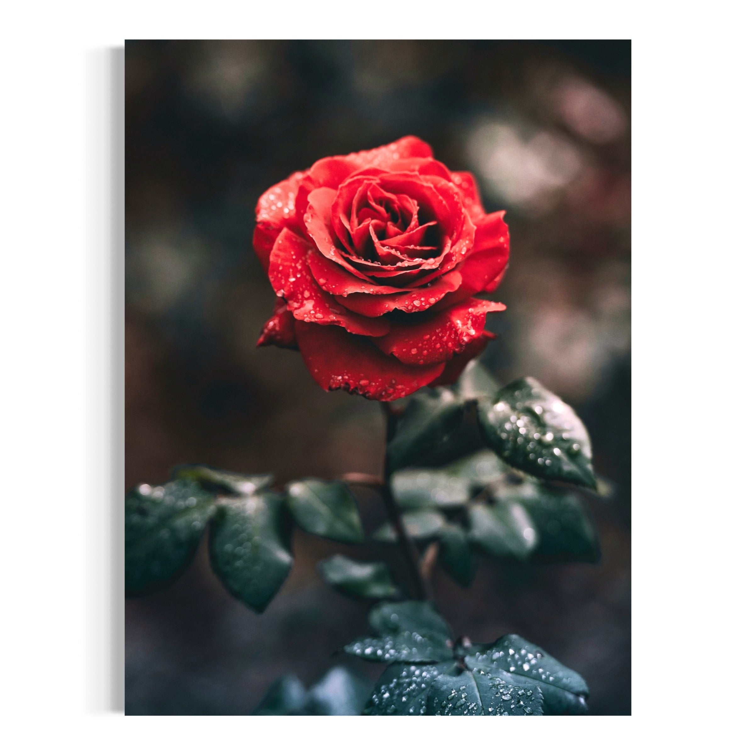 Heart of the Garden - Moderno Wall Art Wall Art