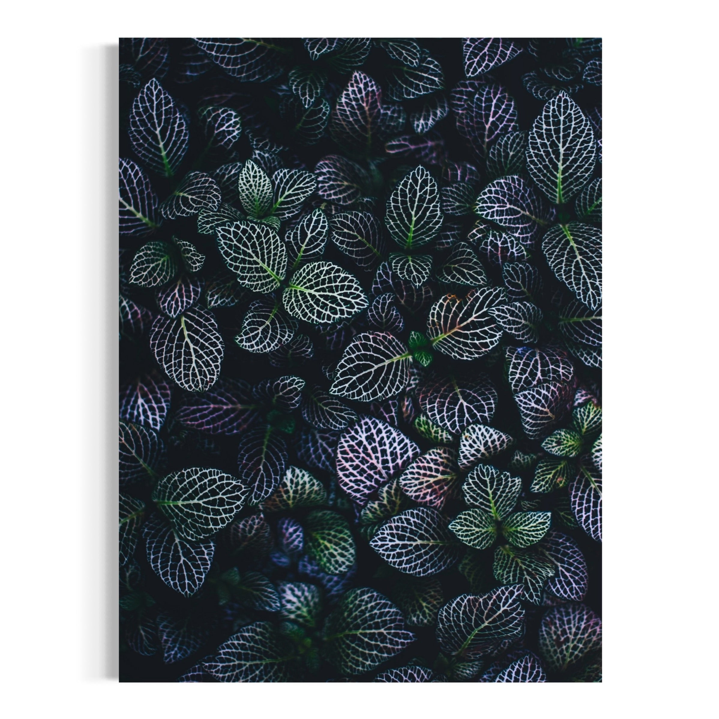 Mystical Foliage - Moderno Wall Art Wall Art