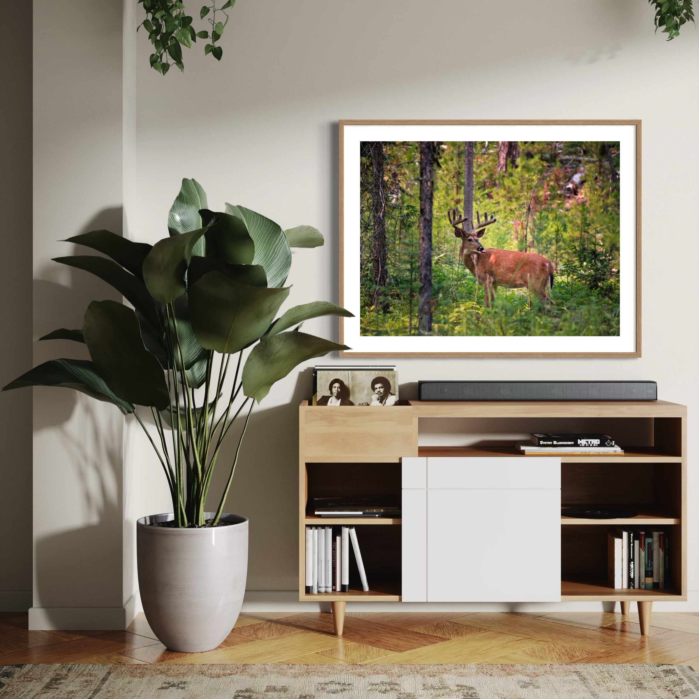 Woods Wanderer - Moderno Wall Art Wall Art