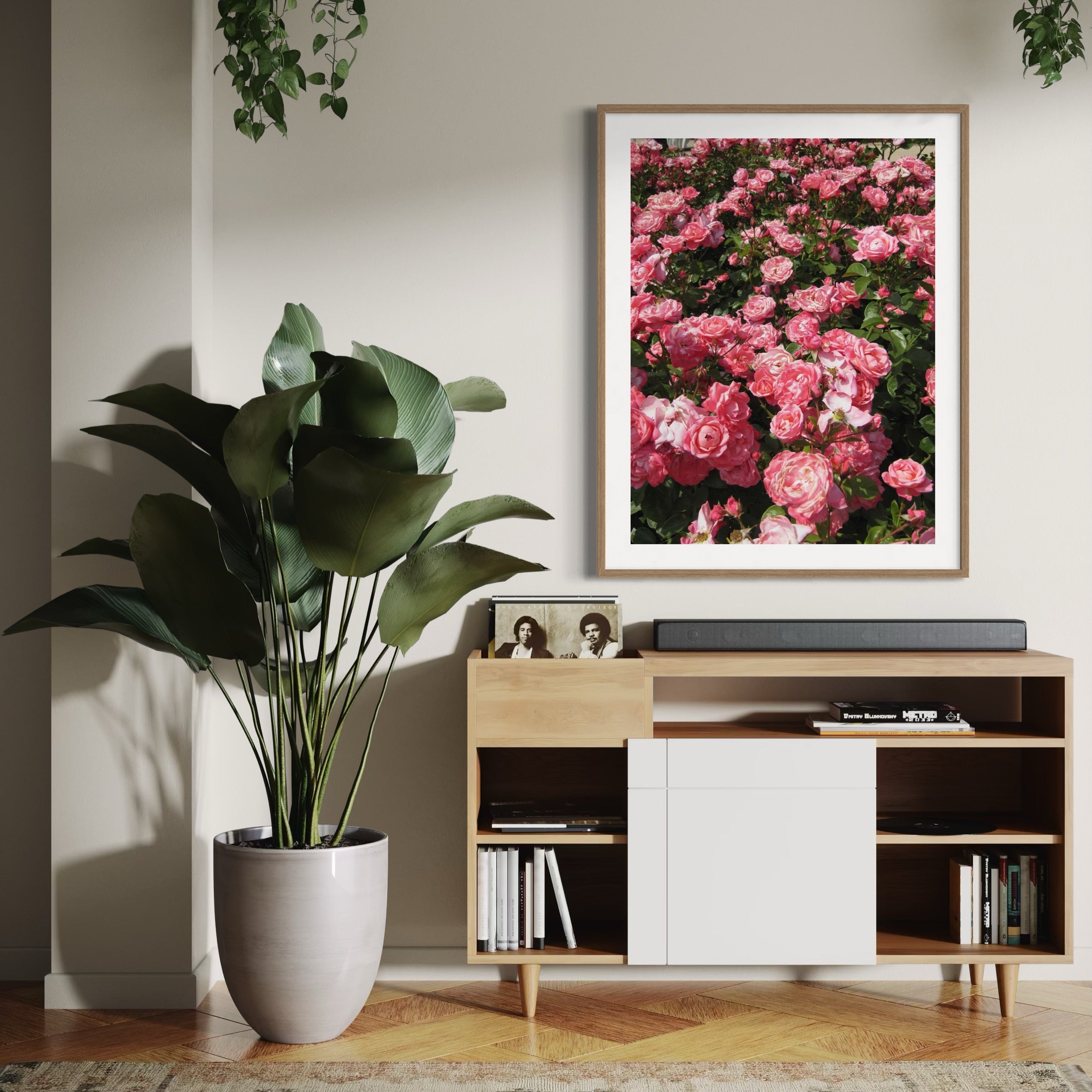 Radiant Rose Garden - Moderno Wall Art Wall Art
