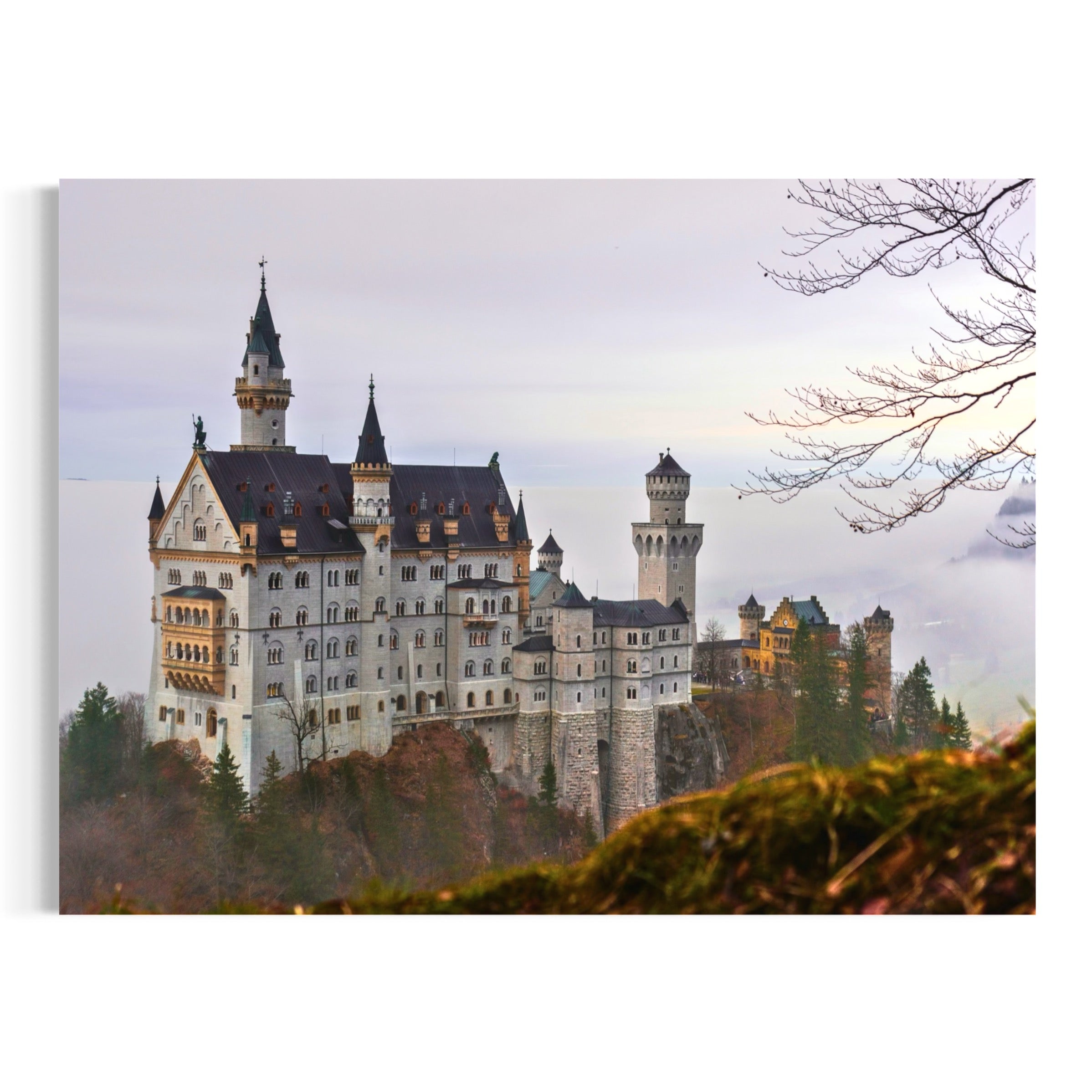 Neuschwanstein Castle in Autumn - Moderno Wall Art Wall Art