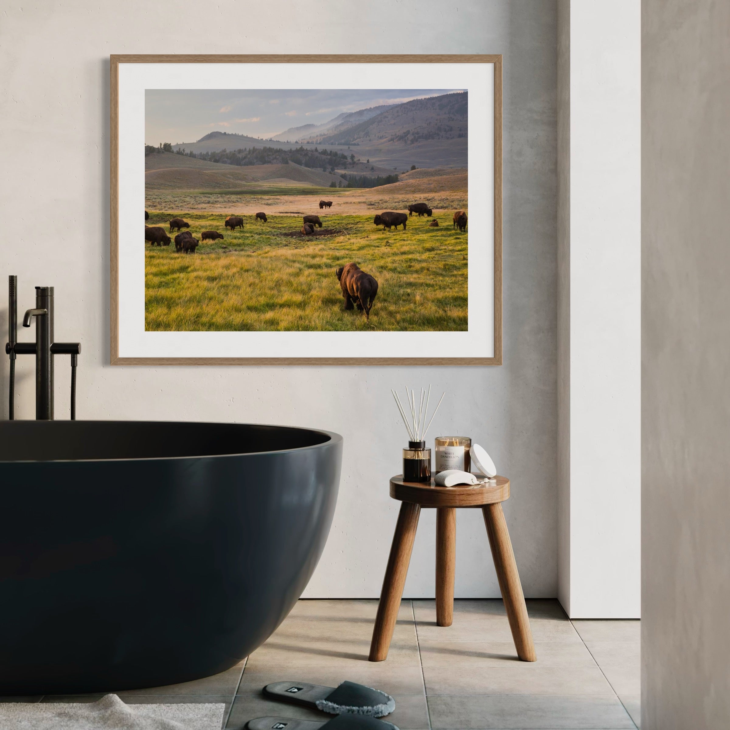 Bison at Golden Hour - Moderno Wall Art Wall Art