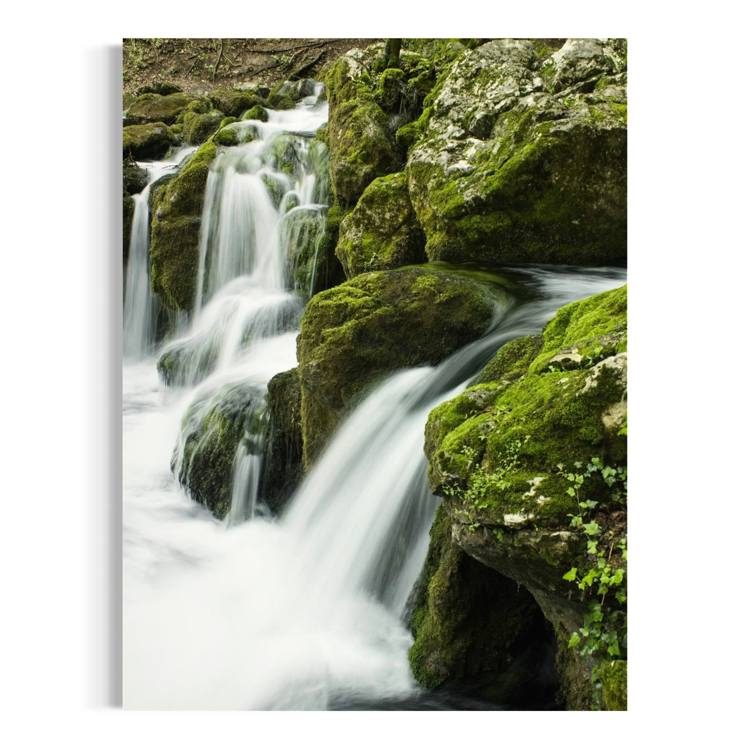 Forest Flow - Moderno Wall Art Wall Art