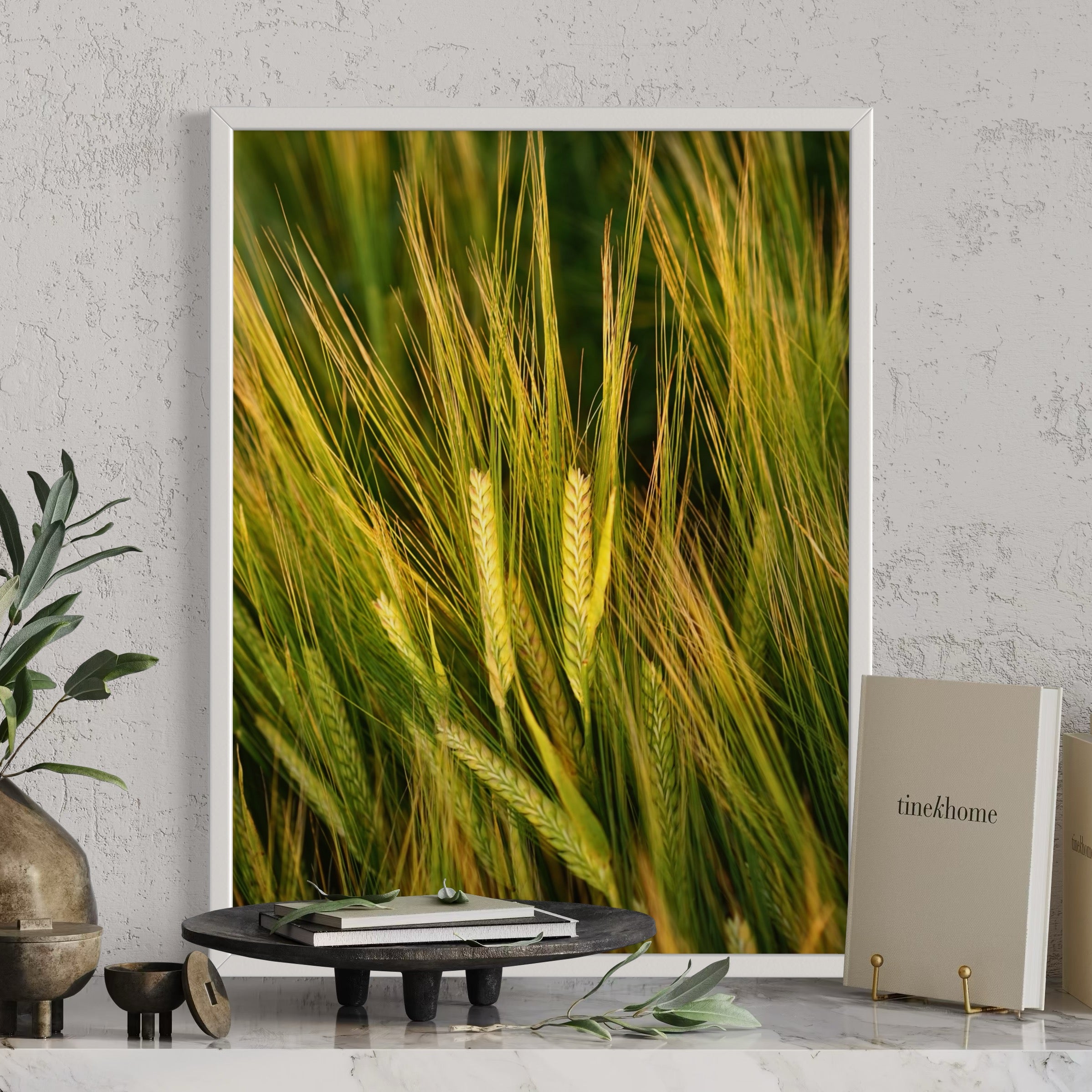 Barley in Bloom - Moderno Wall Art Wall Art