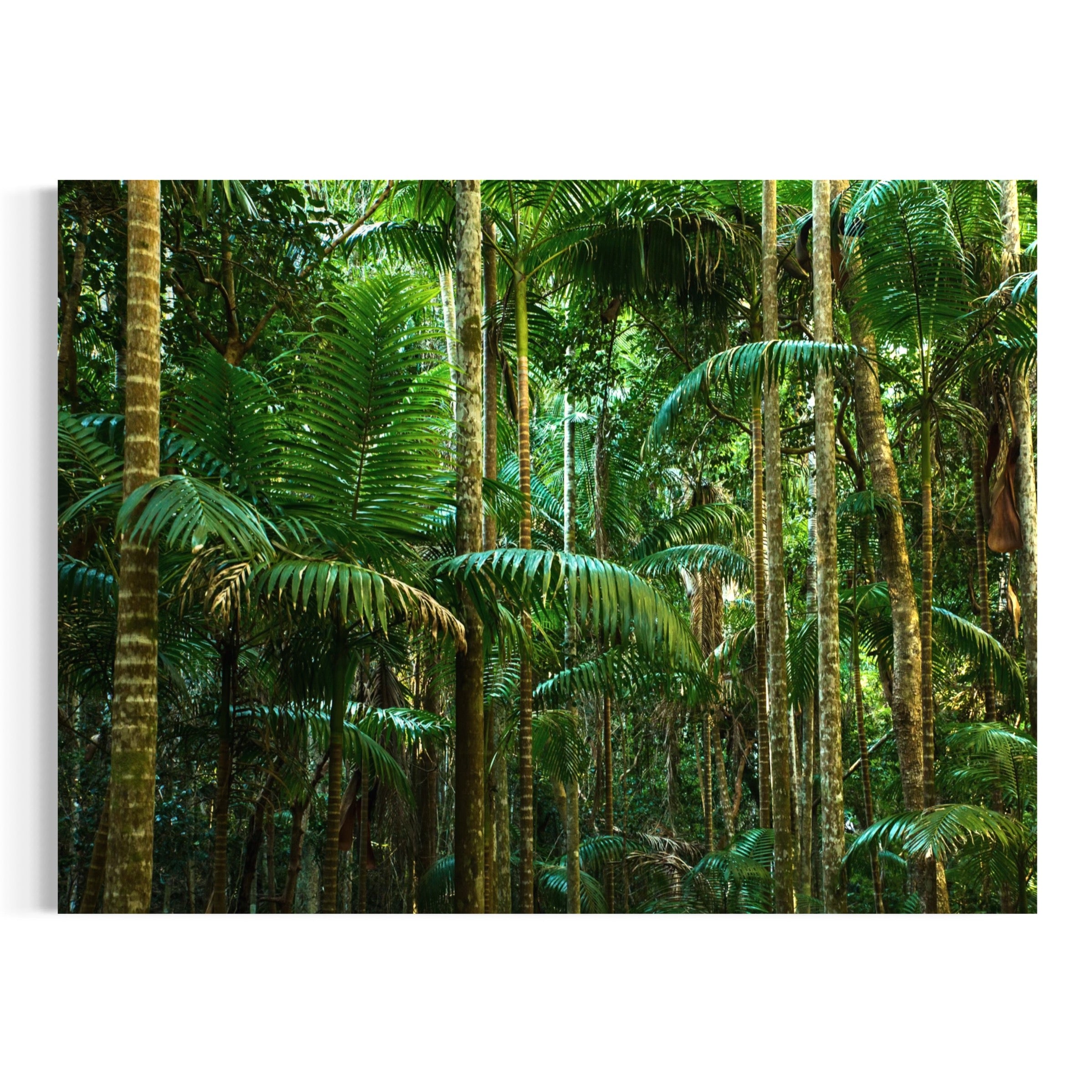 Lush Depths - Moderno Wall Art Wall Art