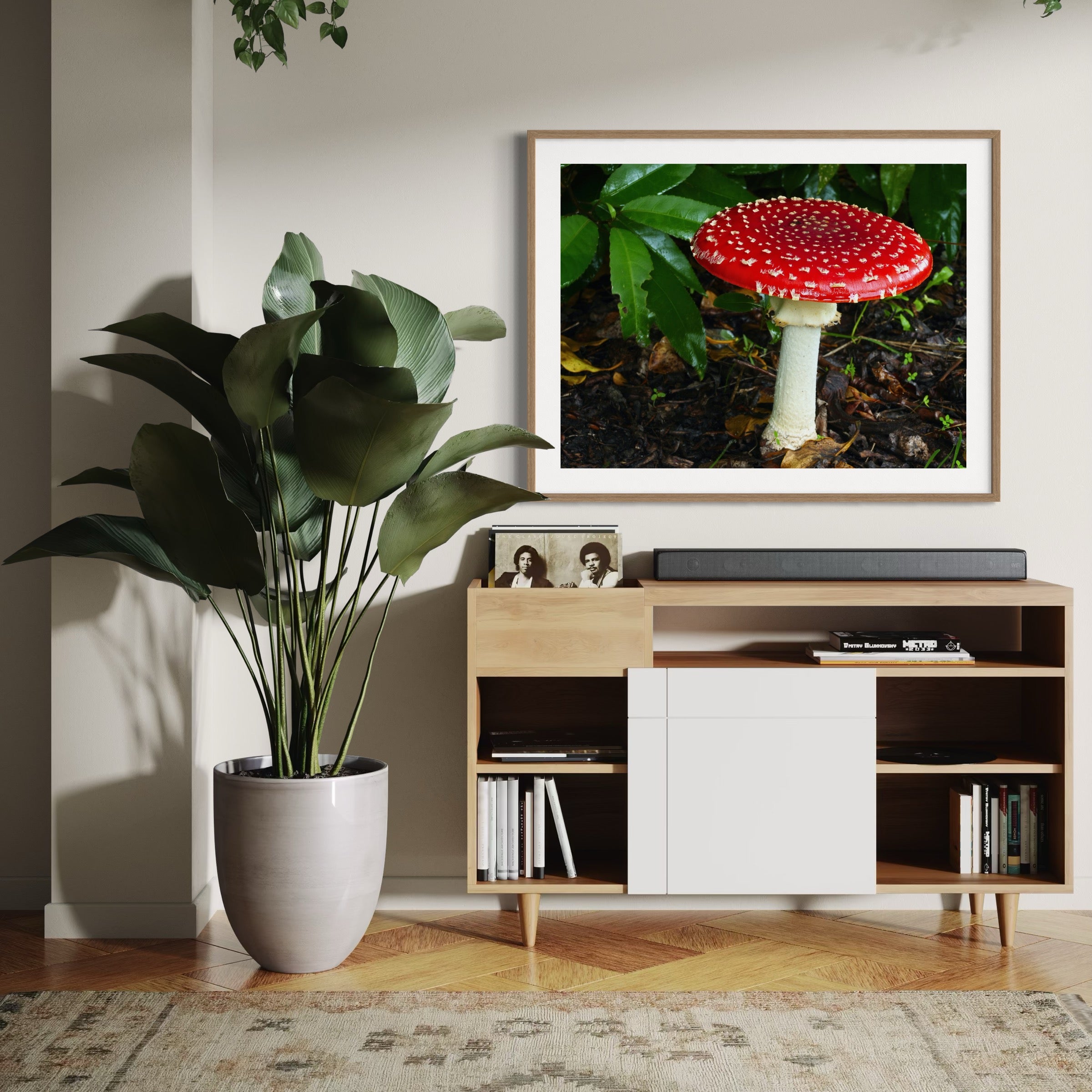 Amanita Rising - Moderno Wall Art Wall Art
