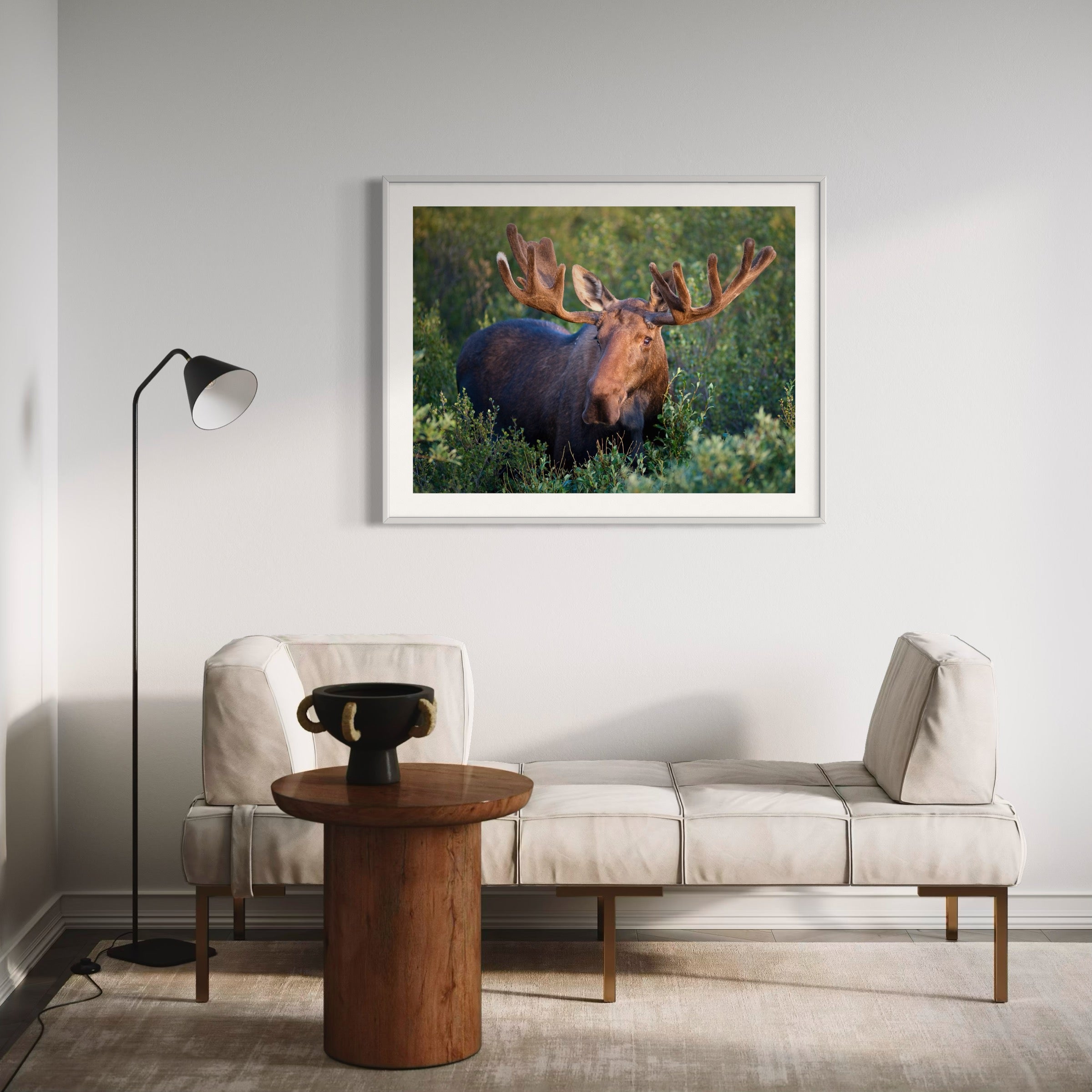 Majestic Bull Moose - Moderno Wall Art Wall Art