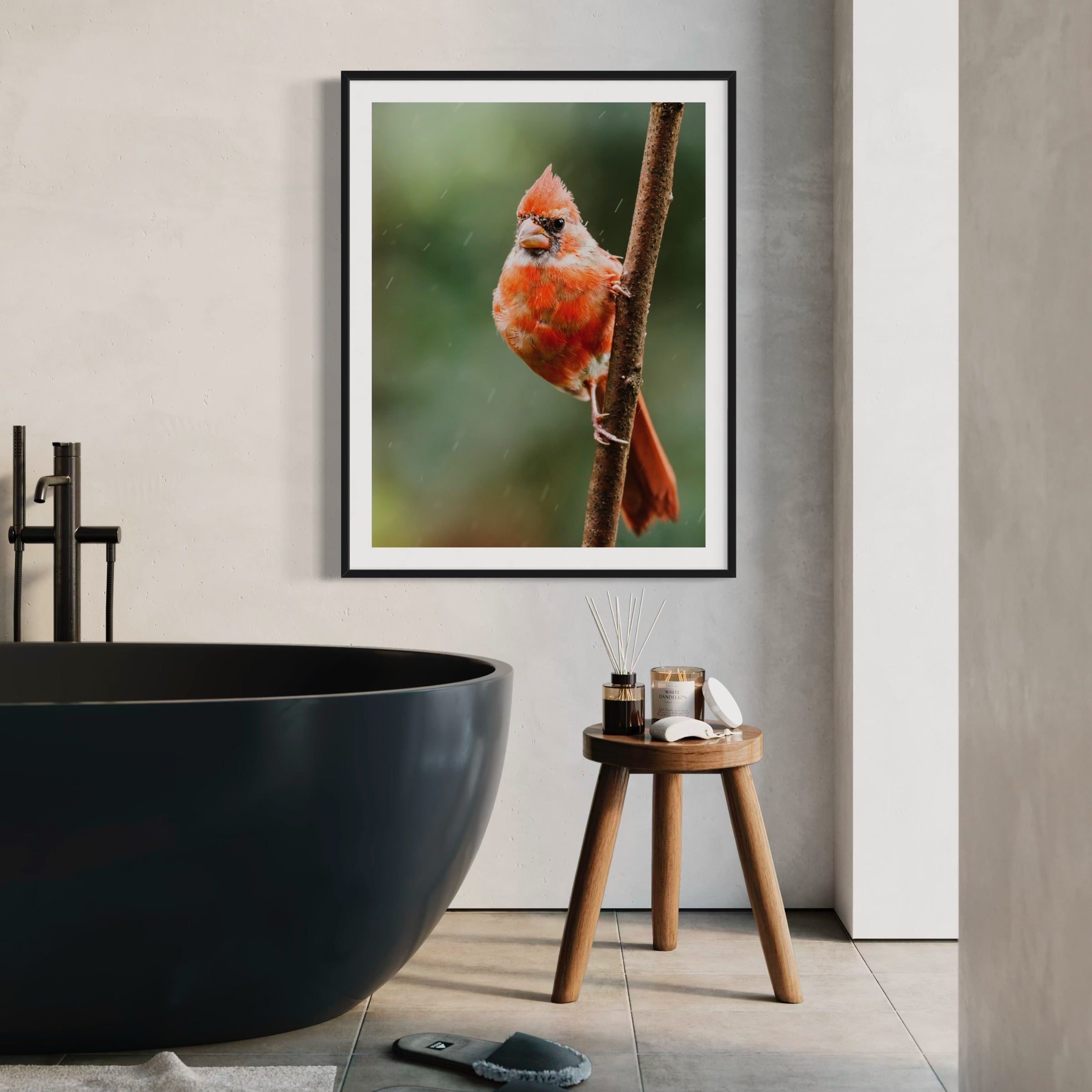Northern Cardinal I - Moderno Wall Art Wall Art