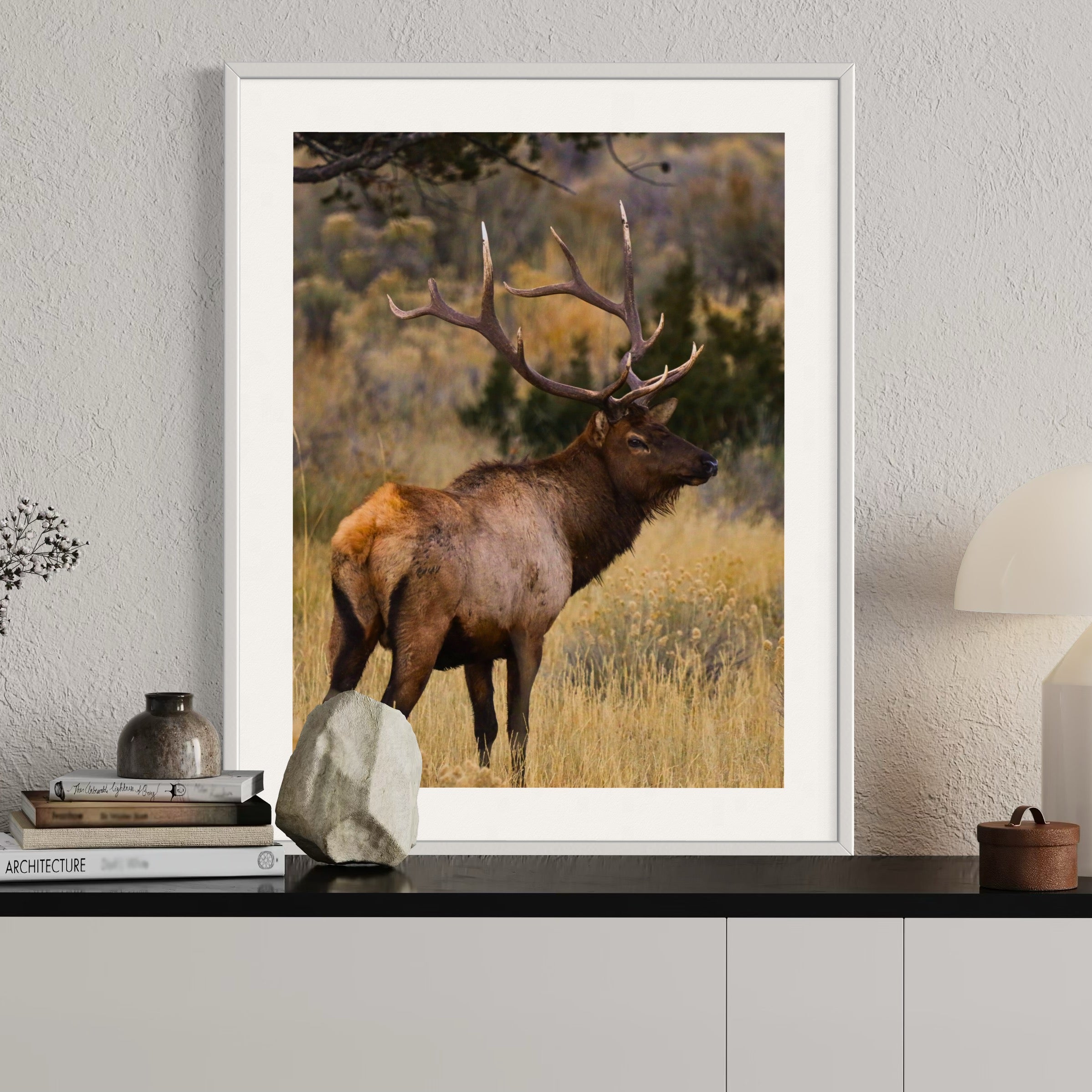 Regal Stance - Moderno Wall Art Wall Art