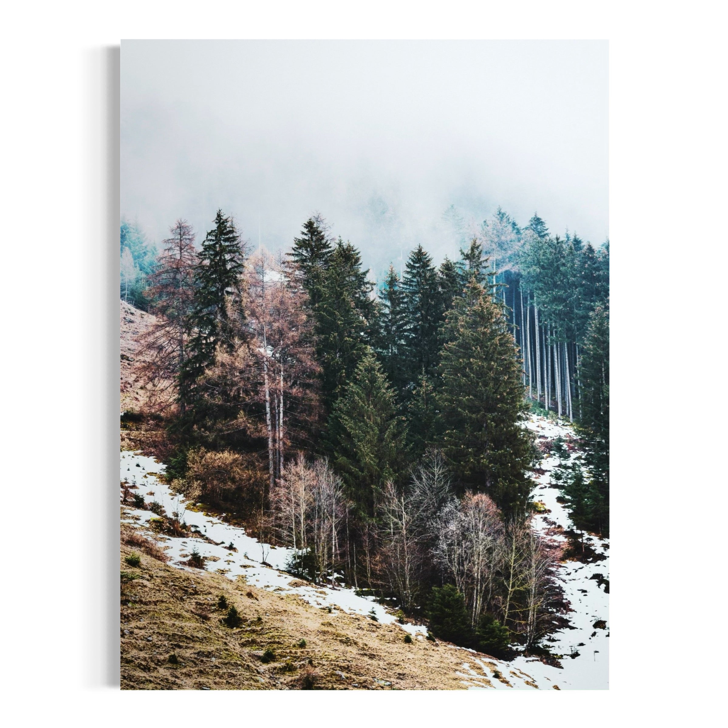 Moody Fall Forest - Moderno Wall Art Wall Art