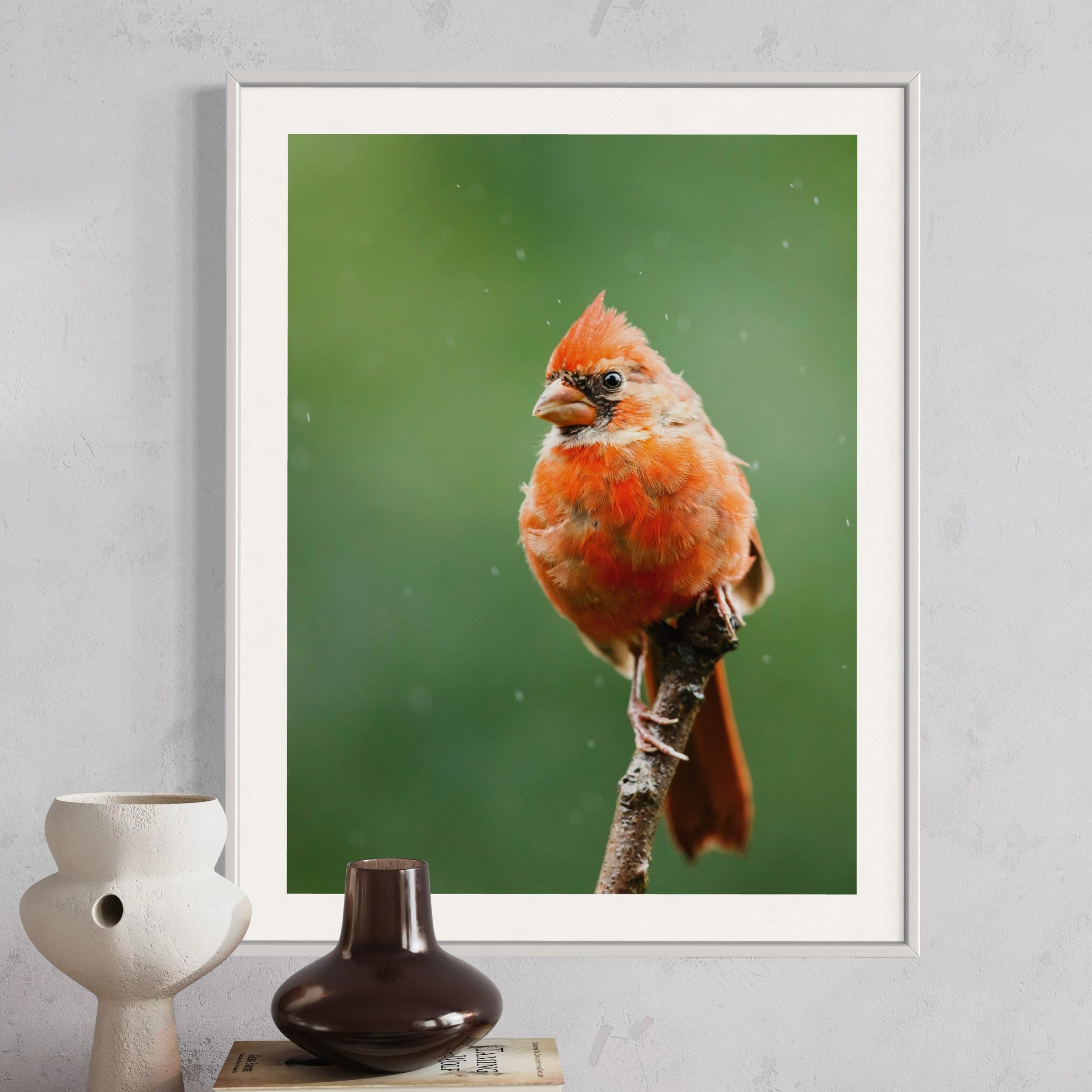 Northern Cardinal II - Moderno Wall Art Wall Art
