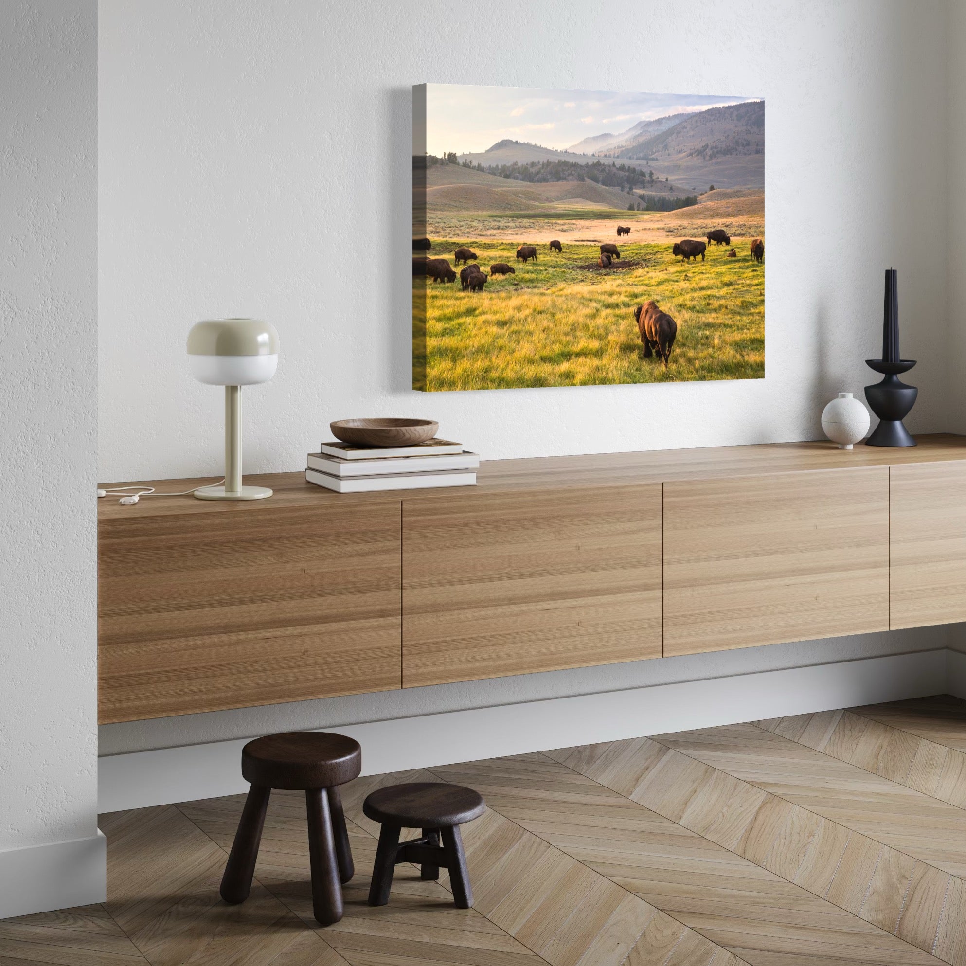 Bison at Golden Hour - Moderno Wall Art Wall Art