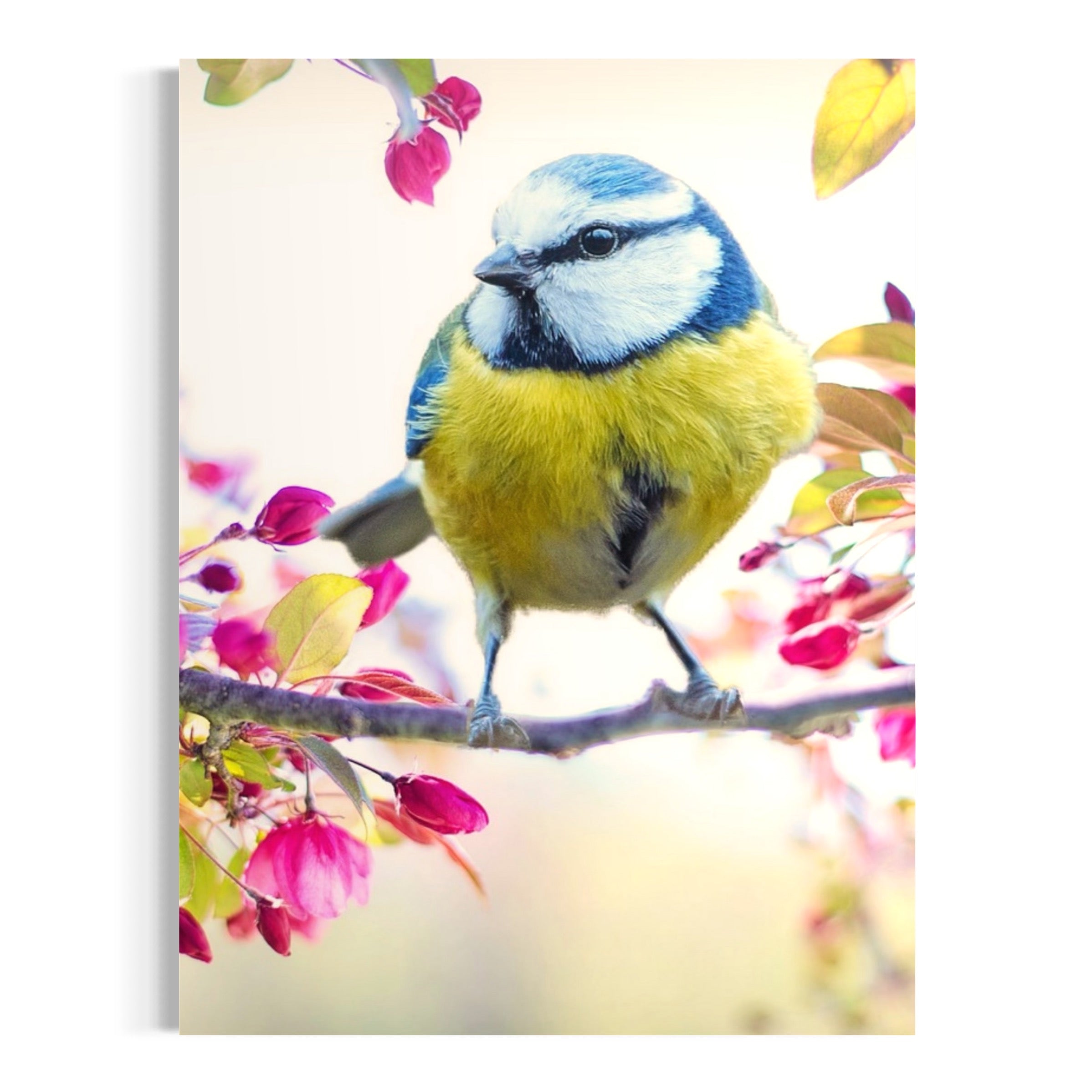 Springtime Serenity - Moderno Wall Art Wall Art