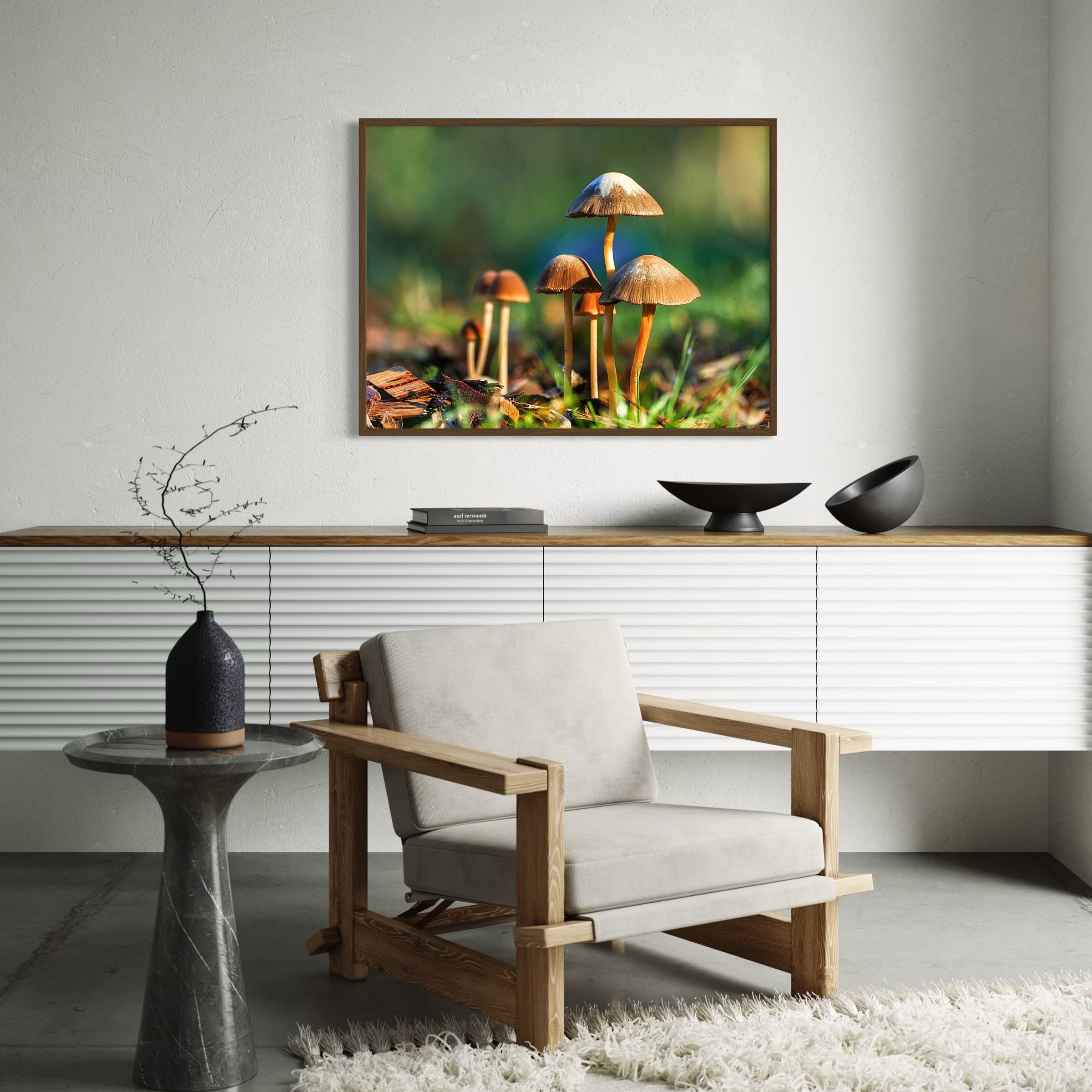 Sunlit Mushrooms - Moderno Wall Art Wall Art