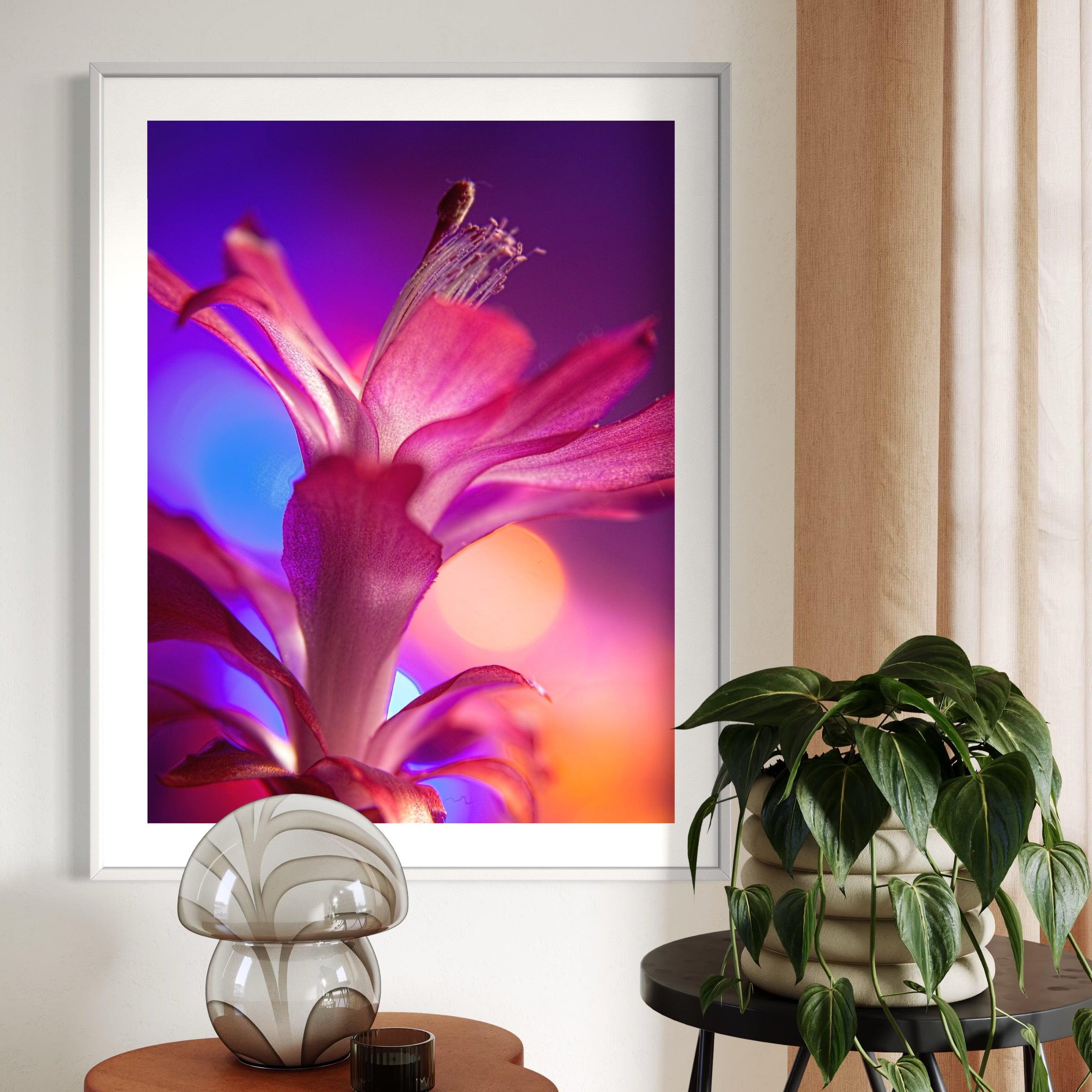 Petal Radiance - Moderno Wall Art