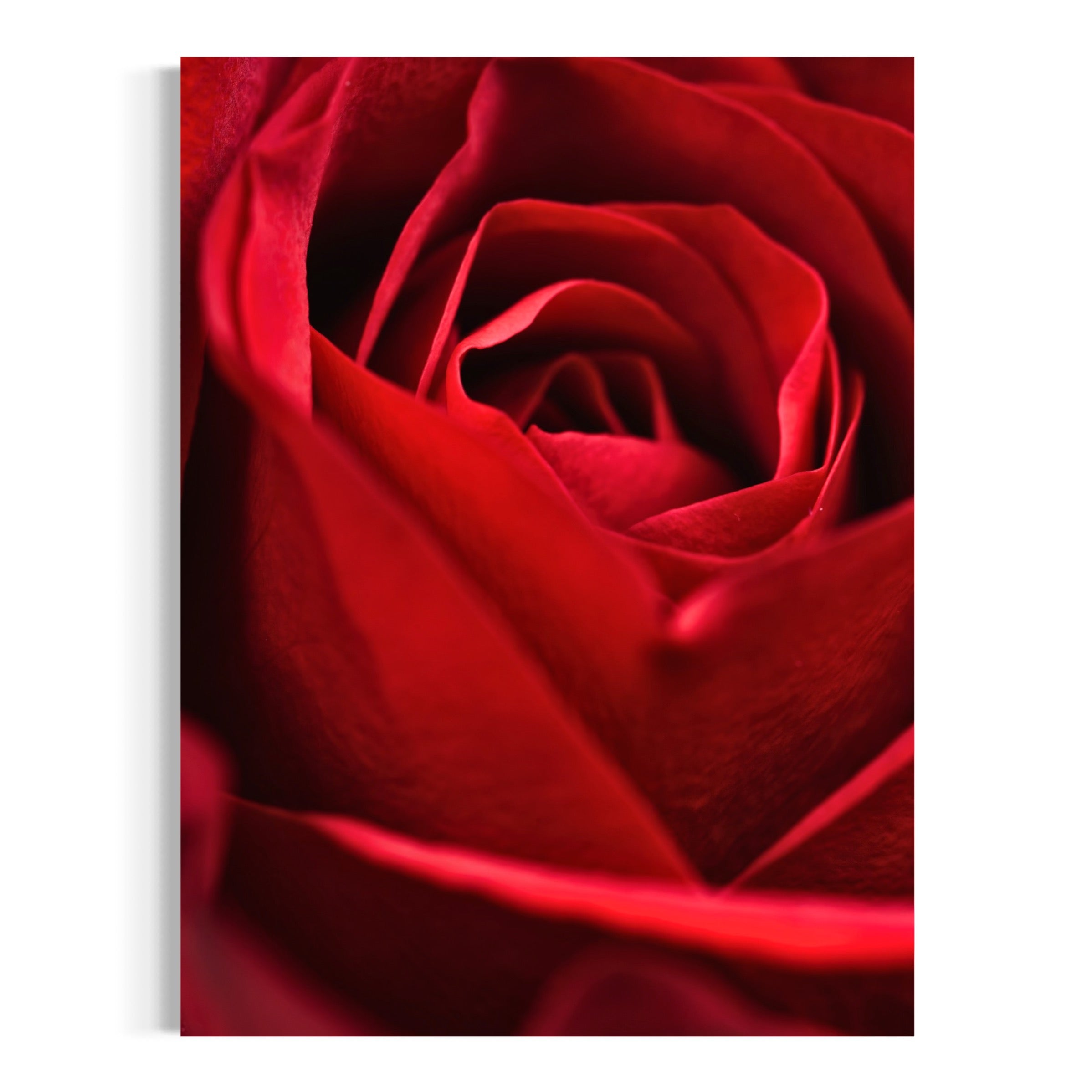 Red Velvet - Moderno Wall Art Wall Art