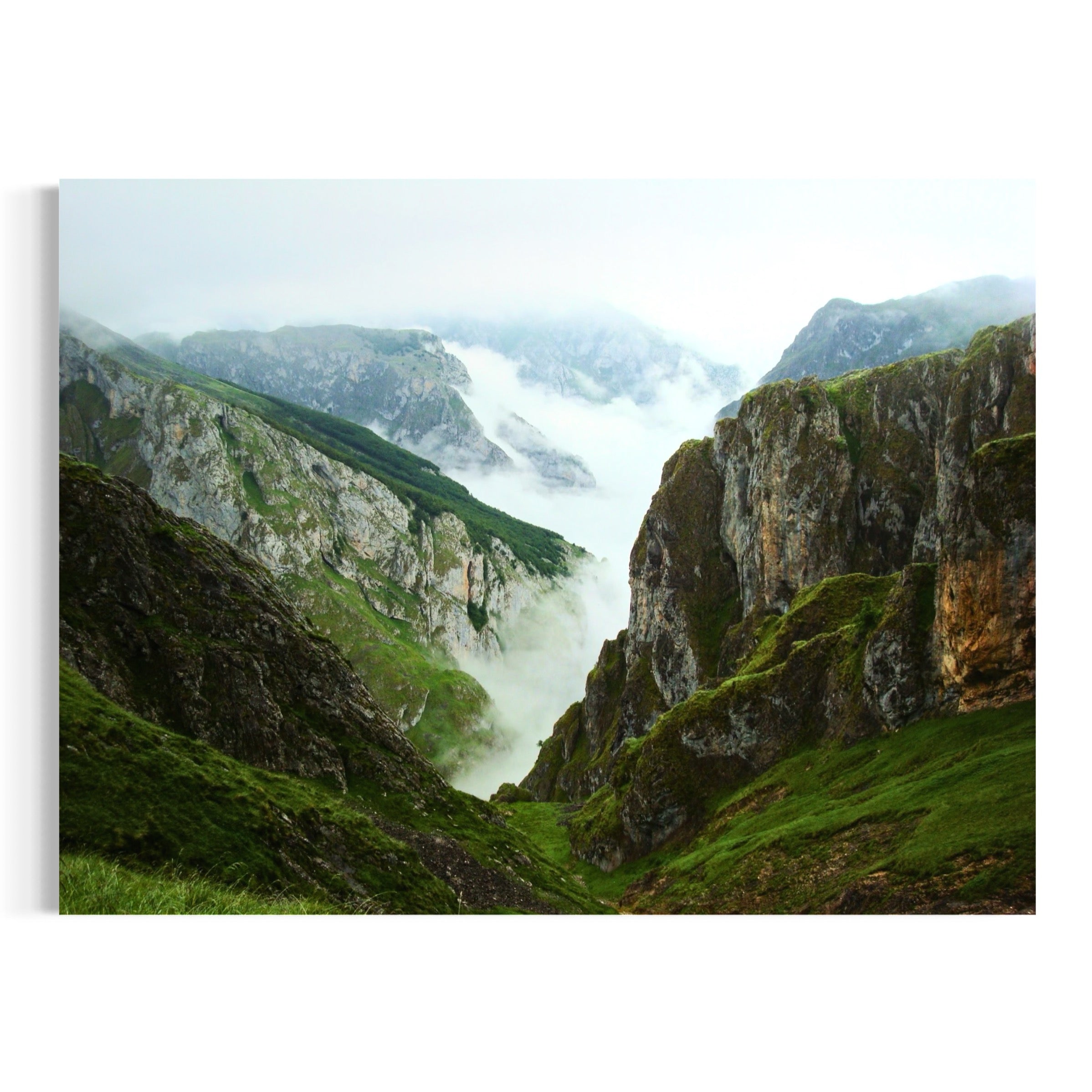 Misty Heights - Moderno Wall Art Wall Art