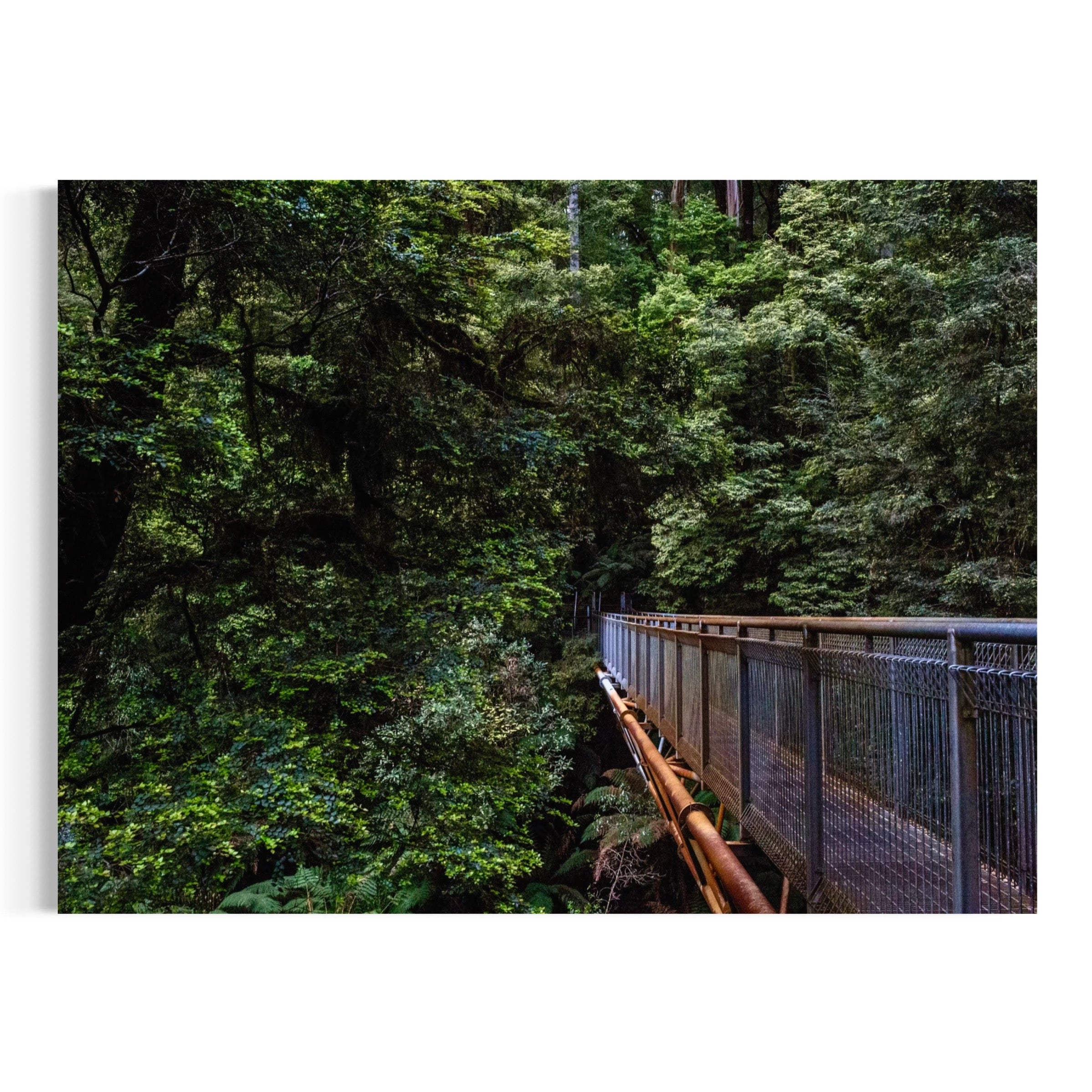 Into the Treetops - Moderno Wall Art Wall Art