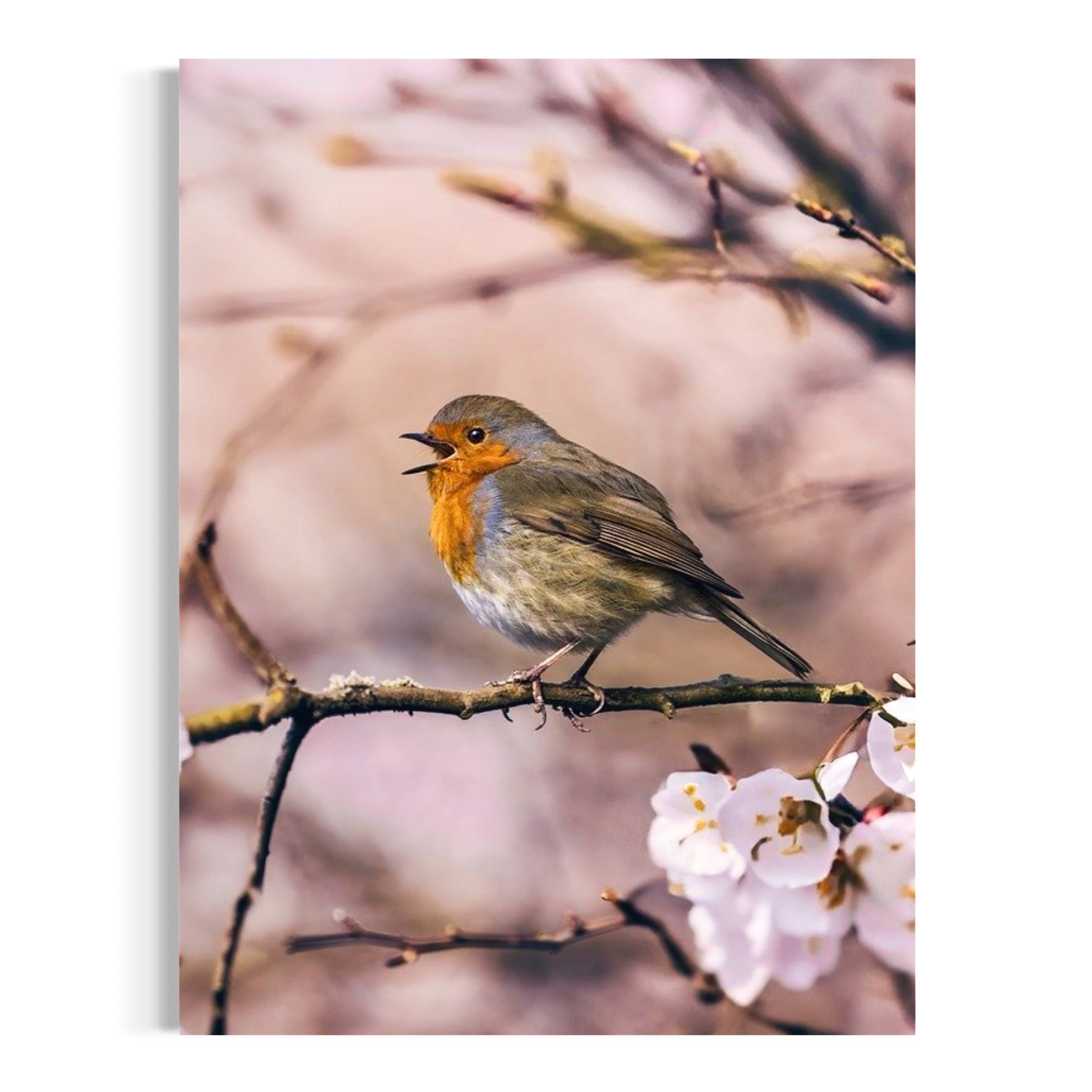 Warmth of Spring - Moderno Wall Art Wall Art